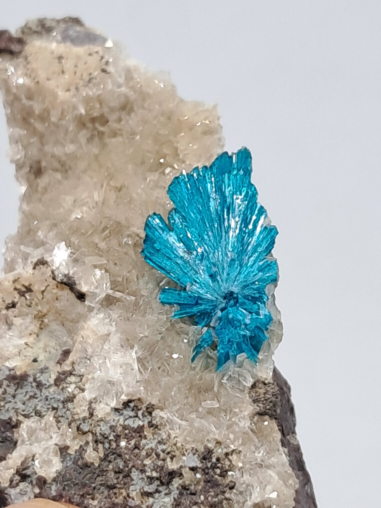 Cavansite on Heulandite Matrix (Wagholi) Rough Stone | Natural Crystal | Rare Mineral Specimen #CV16