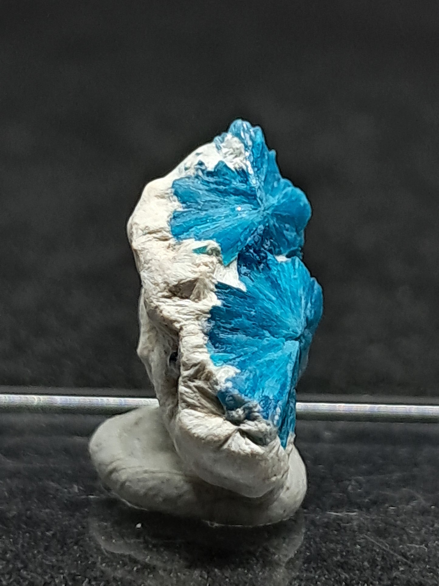 Floater Cavansites in Okenite Matrix (Pune) Rough Stone | Natural Crystal | Rare Mineral Specimen #CV25