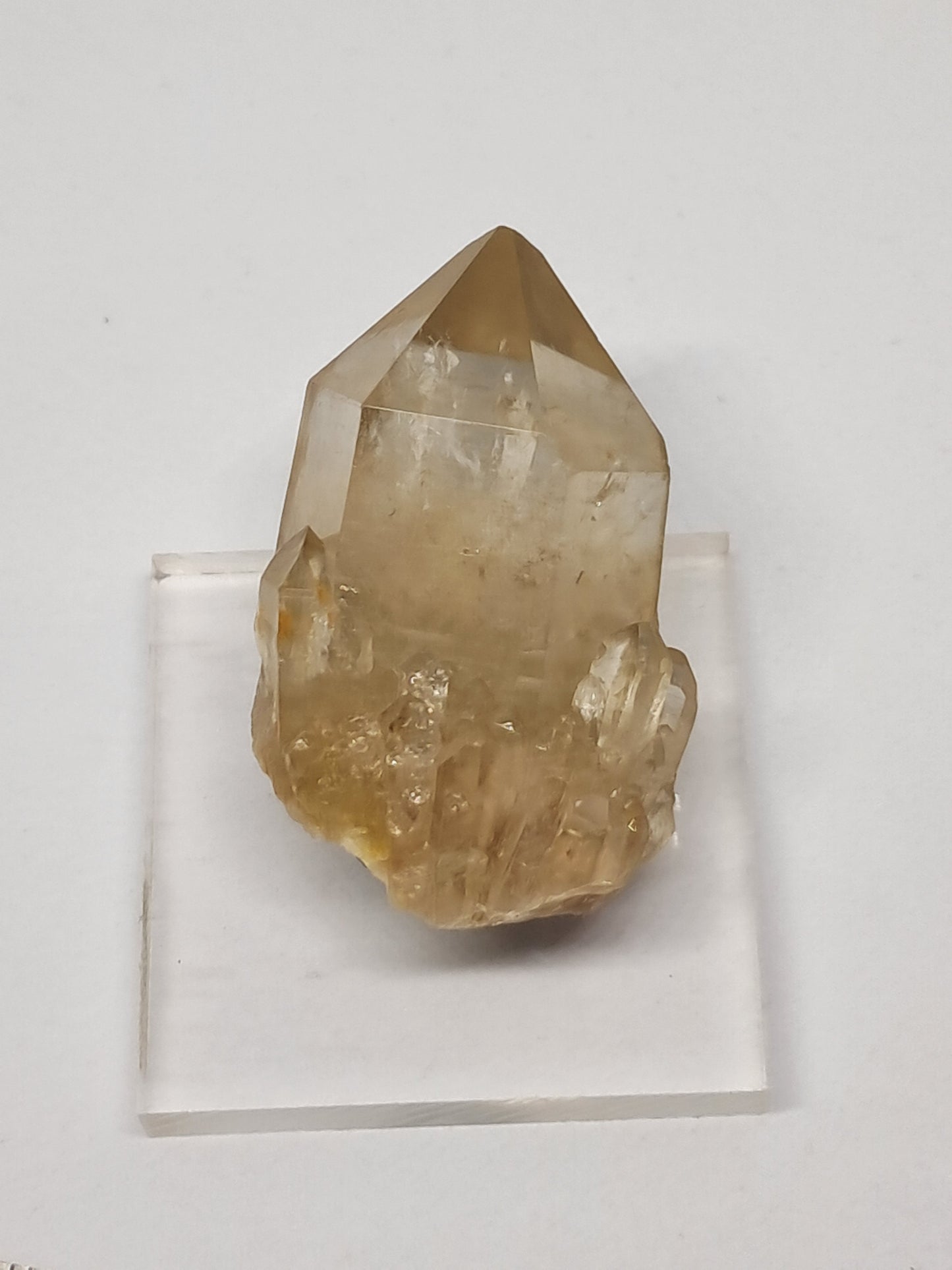 Natural Citrine "Kundalini" (Democratic Republic of Congo) Crystal Point | Mineral Specimen #CTN12