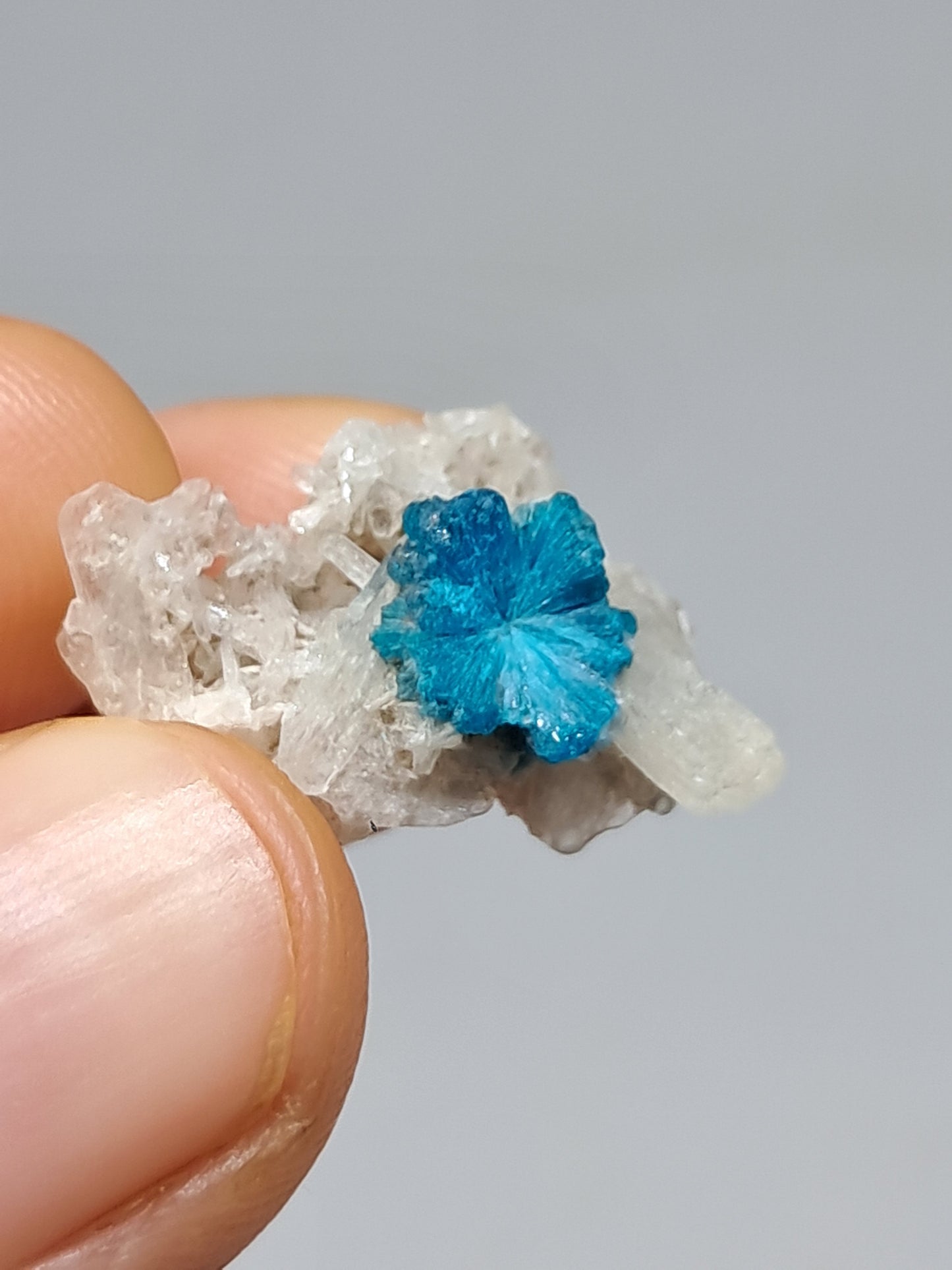 Set of Cavansite & Pentagonite on Matrix (Wagholi) Rough Stone | Natural Crystal | Rare Mineral Specimen #CV41