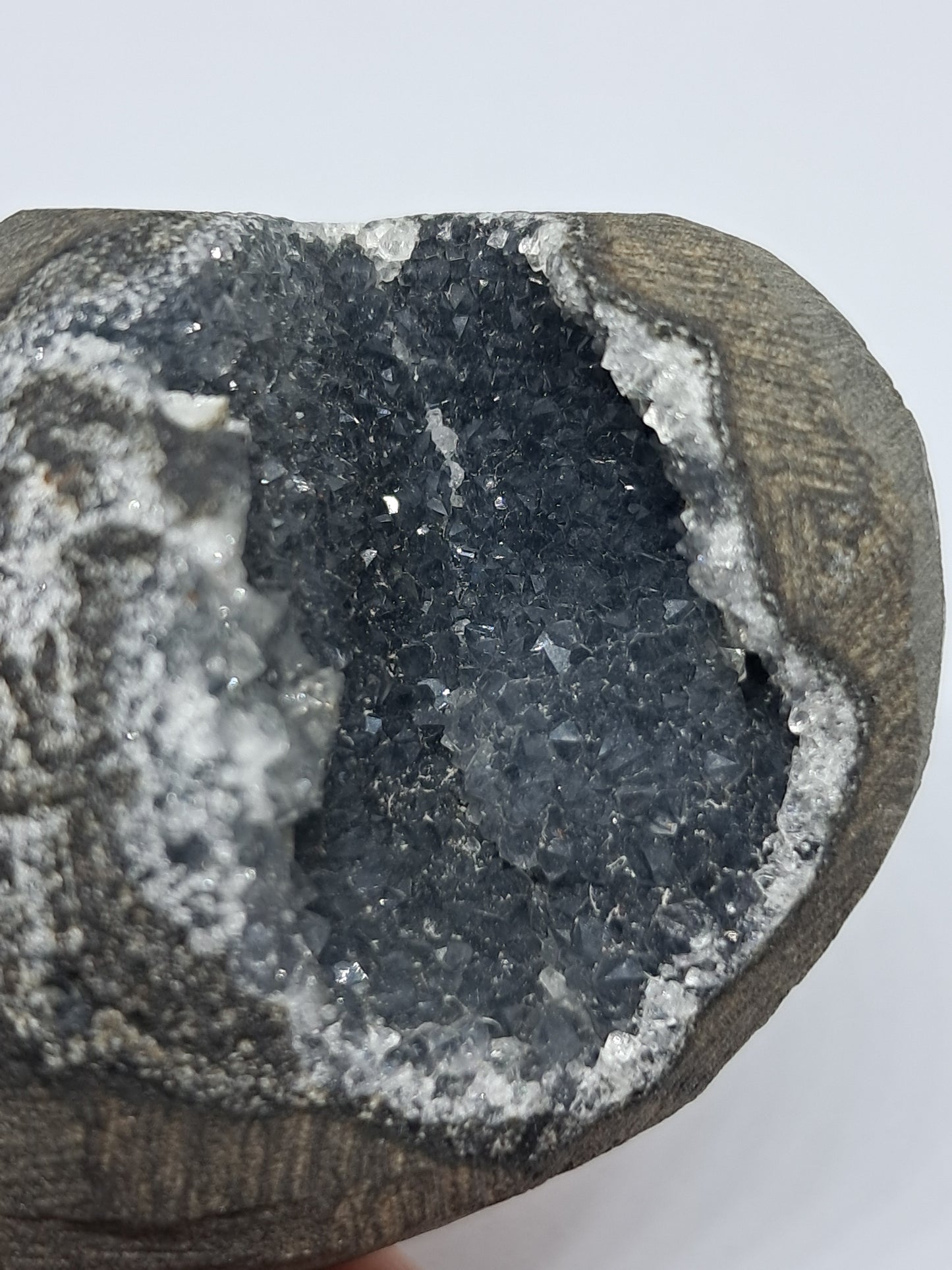 Black Chalcedony in Basalt Geode (Non-precious mineral) #BC7