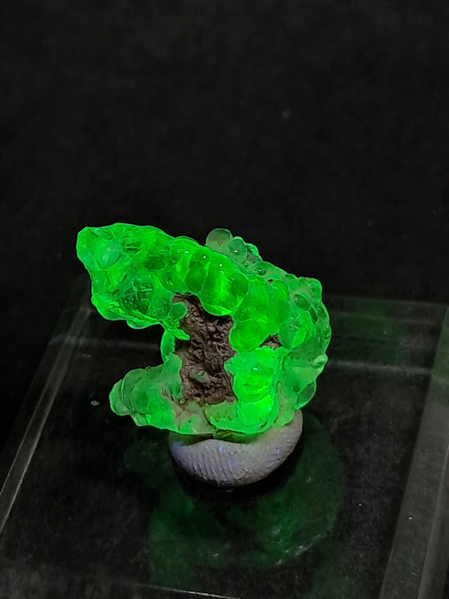 Ópalo hialita (México) Piedra de cristal en bruto | Ejemplar mineral n.° OH8