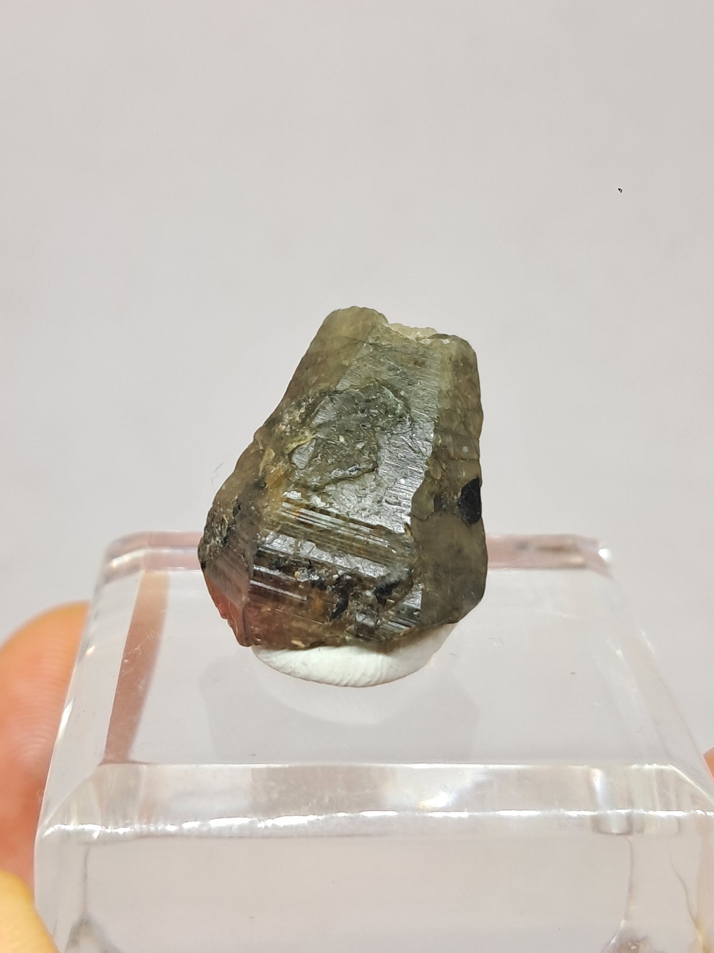 Natural Green Pink Sapphire Crystal (Karur) Rough Stone | Bicolor | Mineral Specimen #SP33