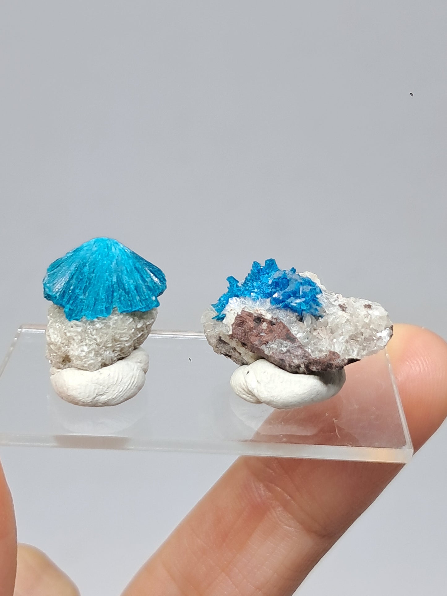 Set of Cavansite & Pentagonite on Matrix (Wagholi) Rough Stone | Natural Crystal | Rare Mineral Specimen #CV40