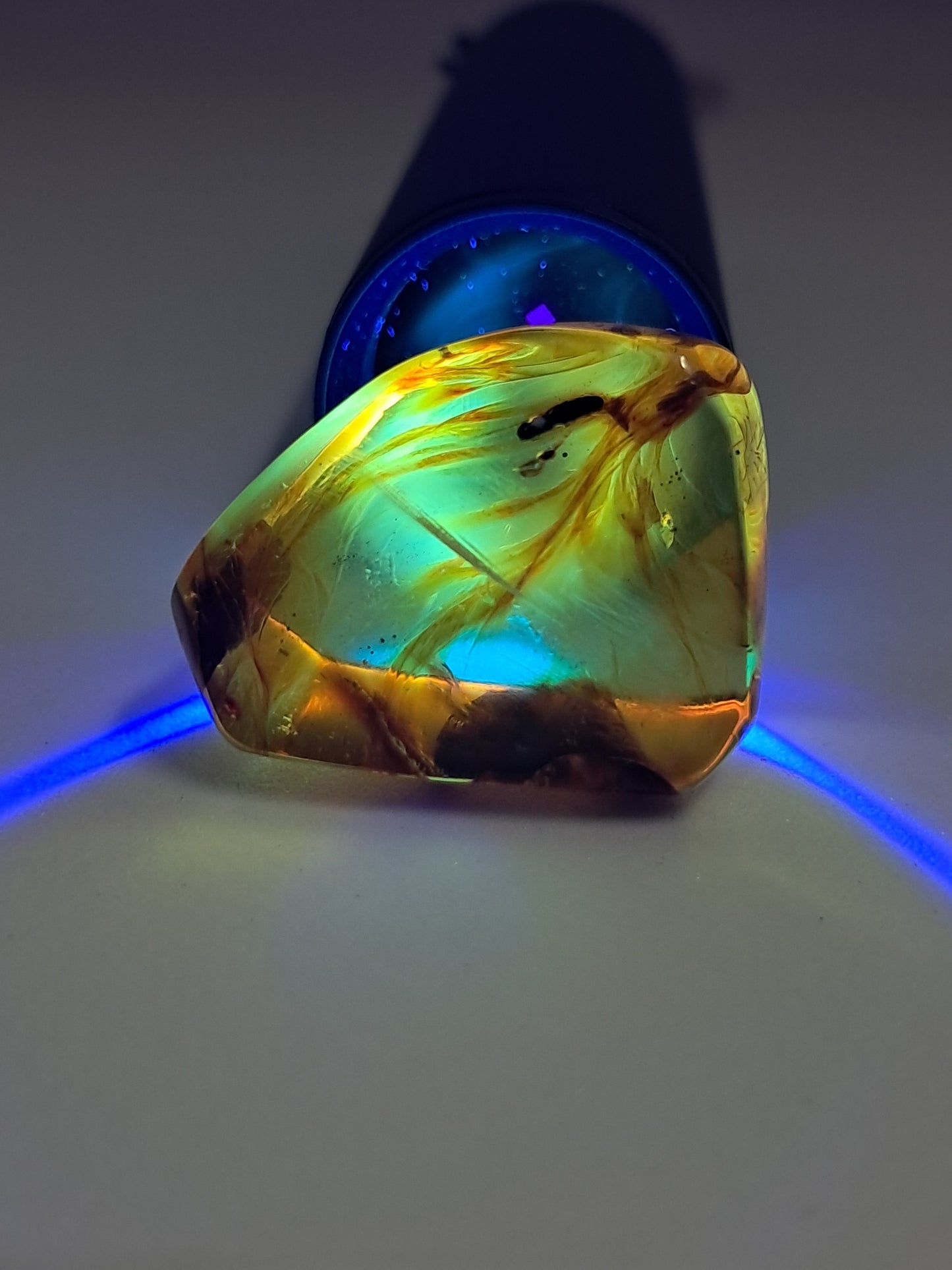 Polished Amber (Mexico) Natural Fossilized Resin | Mineral Specimen #AB3