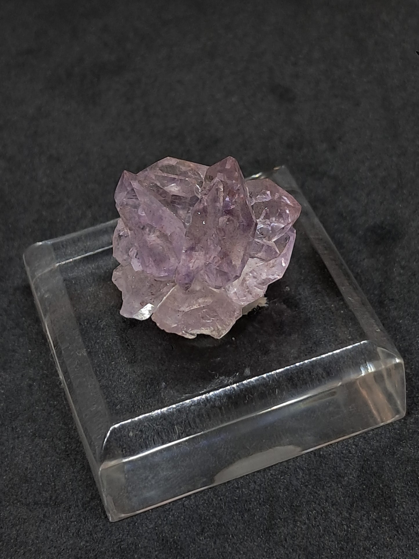 Amatista Brillante en Cetro (Karur) | Cristal en Bruto | Piedra Natural | Ejemplar Mineral #KA151