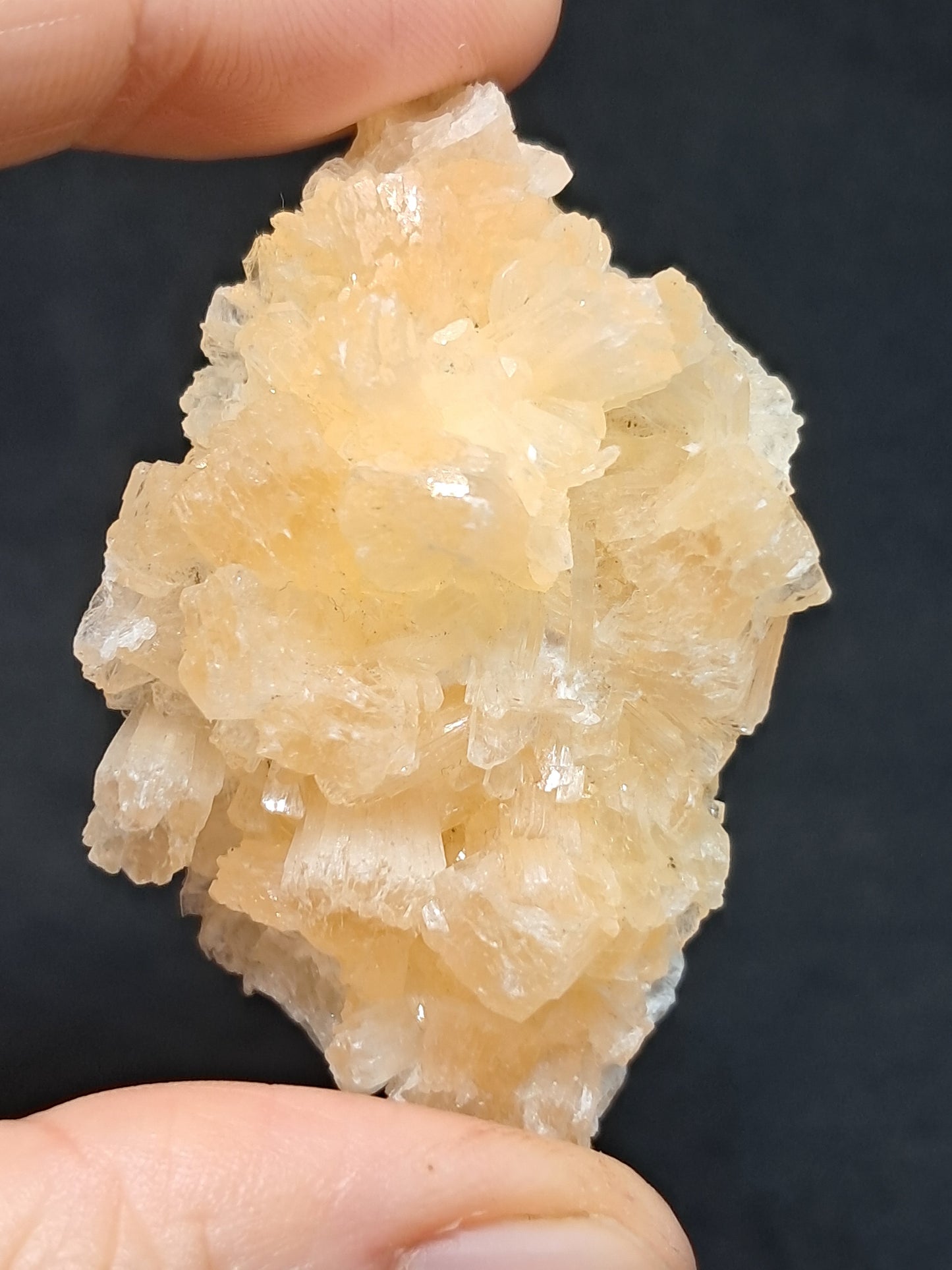 Stellerite (Ajanta) Natural Zeolite Crystal | Mineral Specimen #ZL15