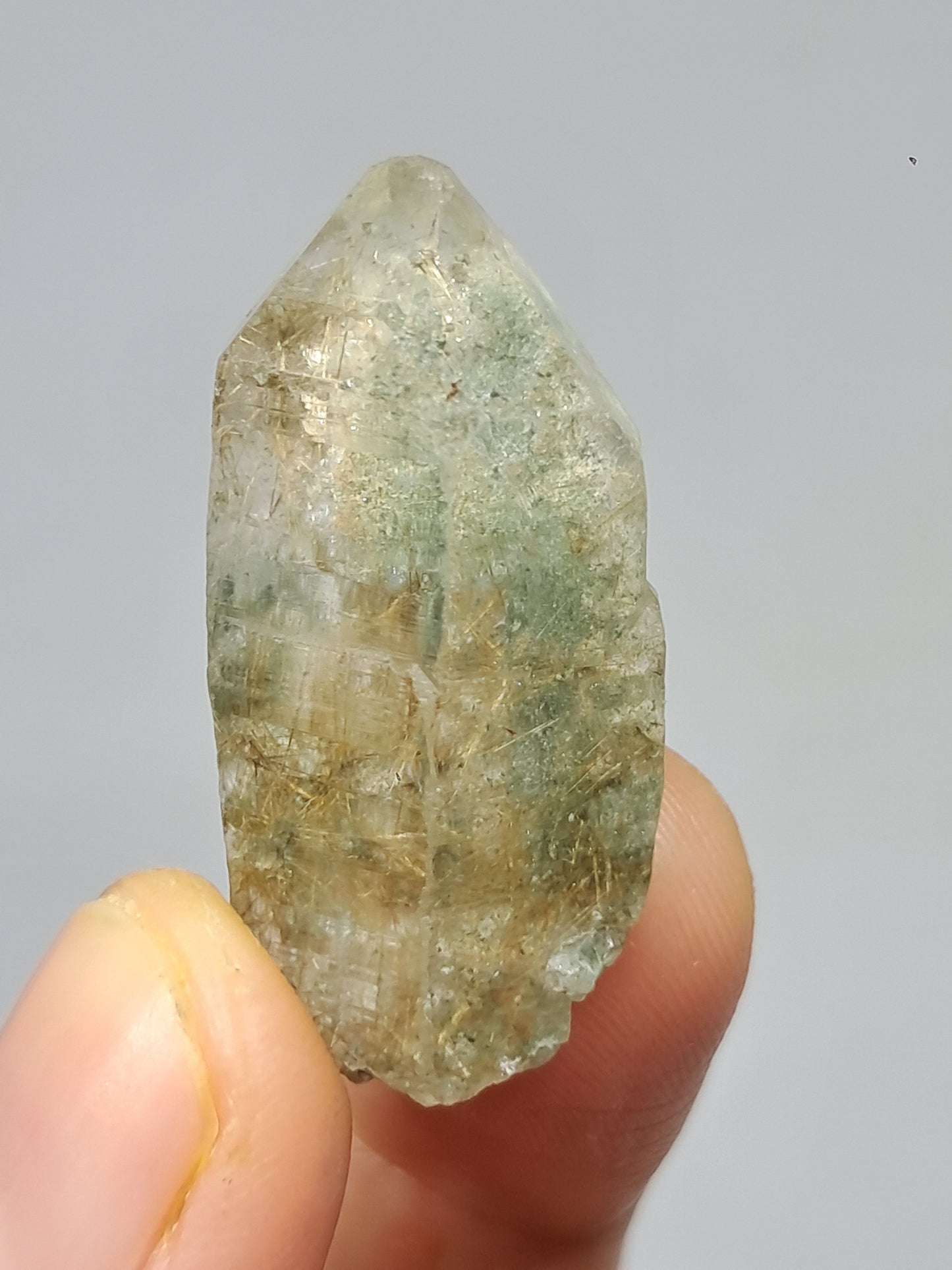 Quartz w/ Chlorite and Golden Rutile Inclusions (Kullu) Rough Stone | Natural Crystal Point | Mineral Specimen #CH47