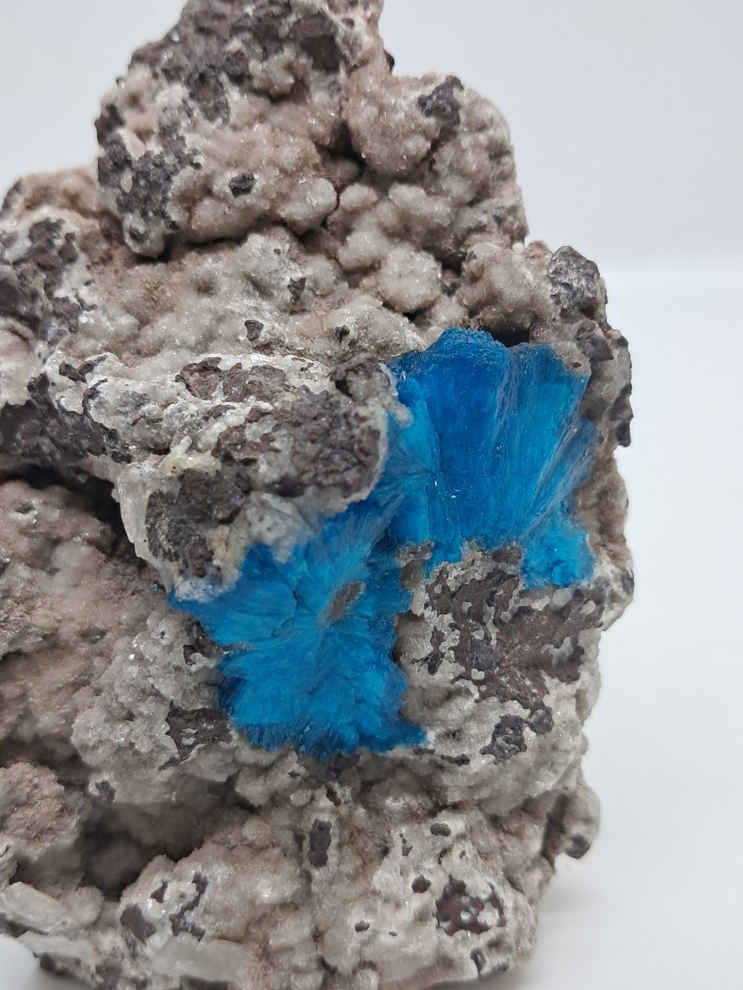Cavansite on Heulandite Matrix (Wagholi) Rough Stone | Natural Crystal | Rare Mineral Specimen #CV33