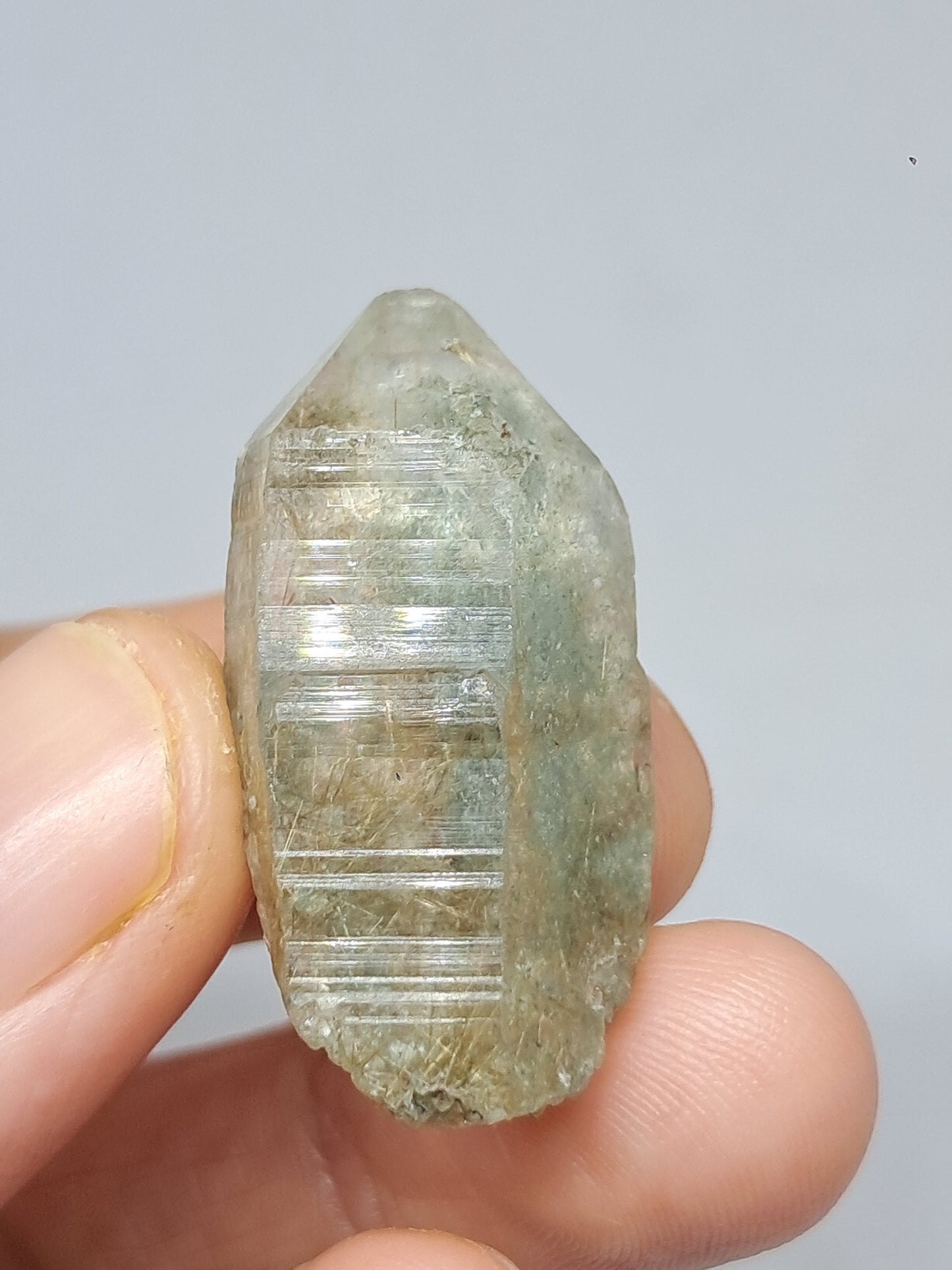 Quartz w/ Chlorite and Golden Rutile Inclusions (Kullu) Rough Stone | Natural Crystal Point | Mineral Specimen #CH47