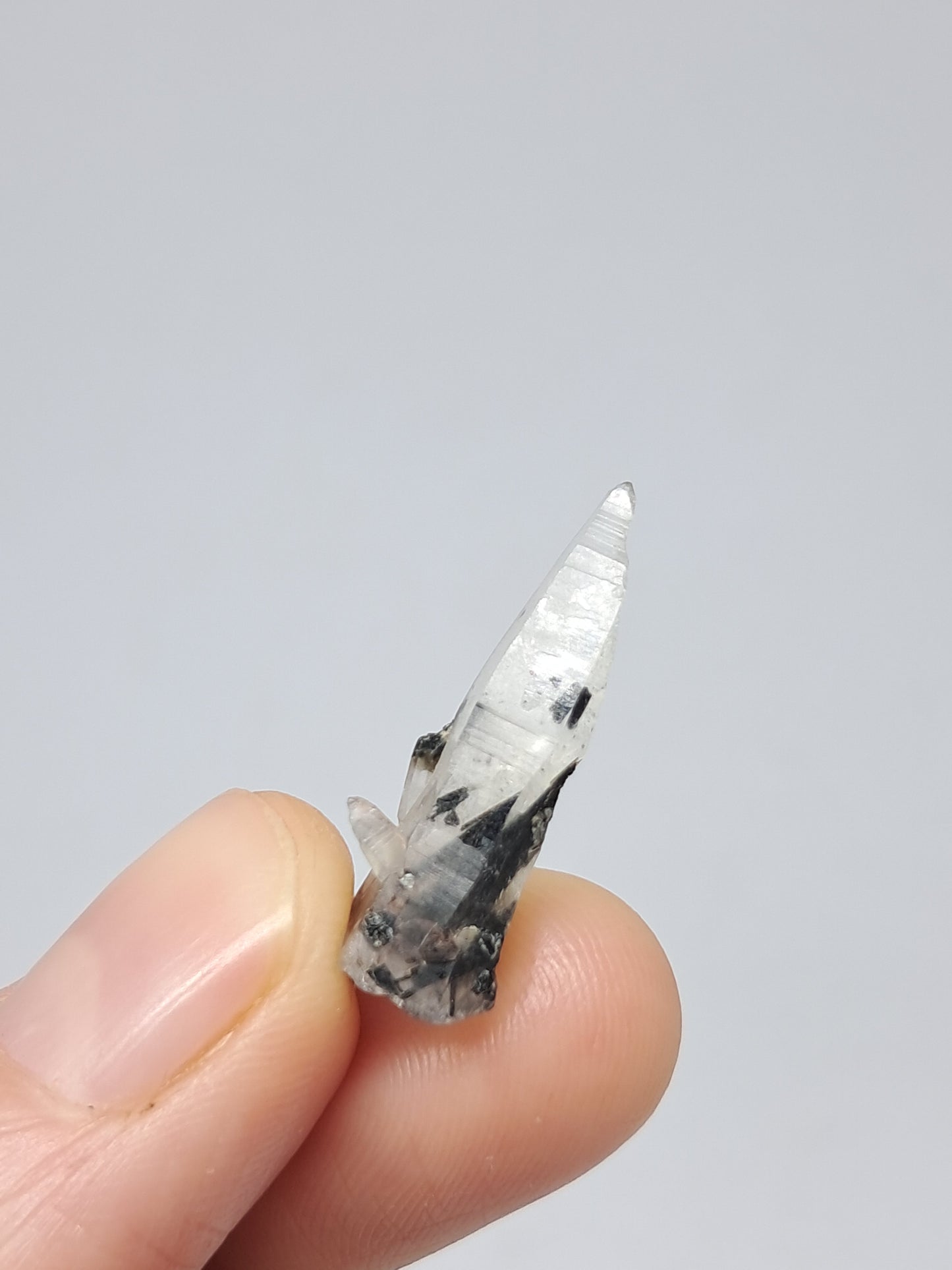 Tourmalinated Quartz Crystal Point (Non-precious stone) #TQ25