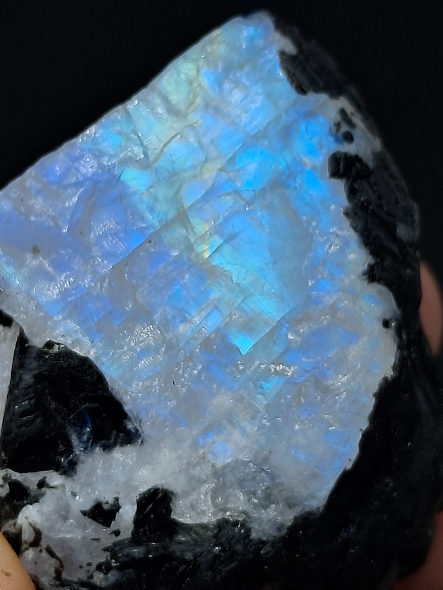 Rainbow Moonstone *High Grade* (Odisha) Rough Stone | Natural Rock #MN11