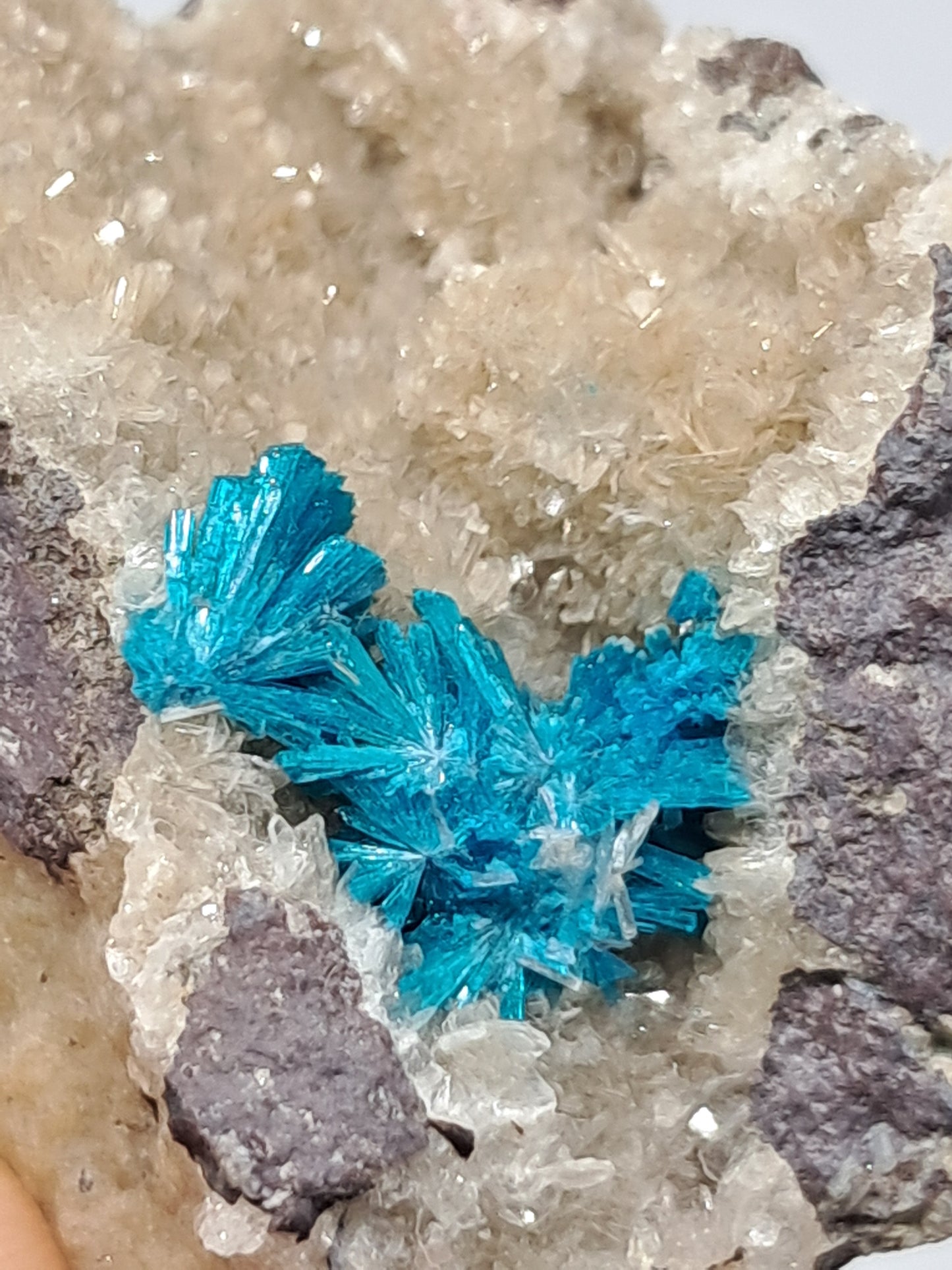 Cavansite on Heulandite Matrix (Wagholi) Rough Stone | Natural Crystal | Rare Mineral Specimen #CV18