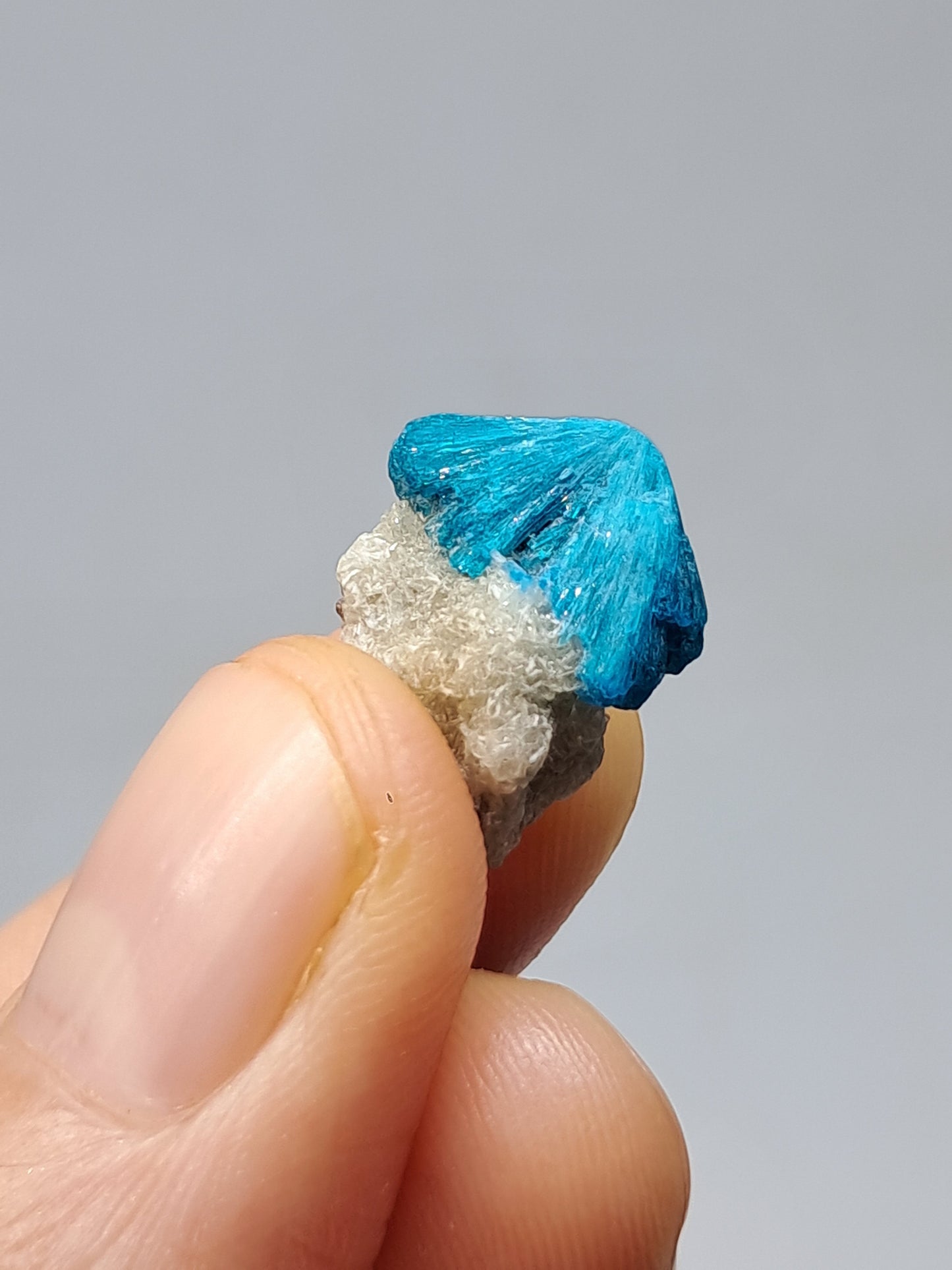 Set of Cavansite & Pentagonite on Matrix (Wagholi) Rough Stone | Natural Crystal | Rare Mineral Specimen #CV40