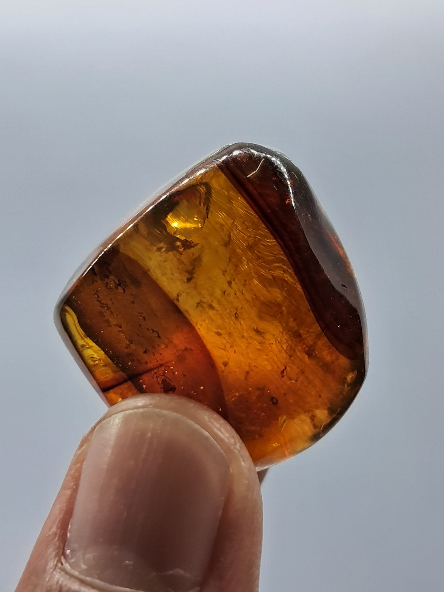 Polished Amber (Mexico) Natural Fossilized Resin | Mineral Specimen #AB2