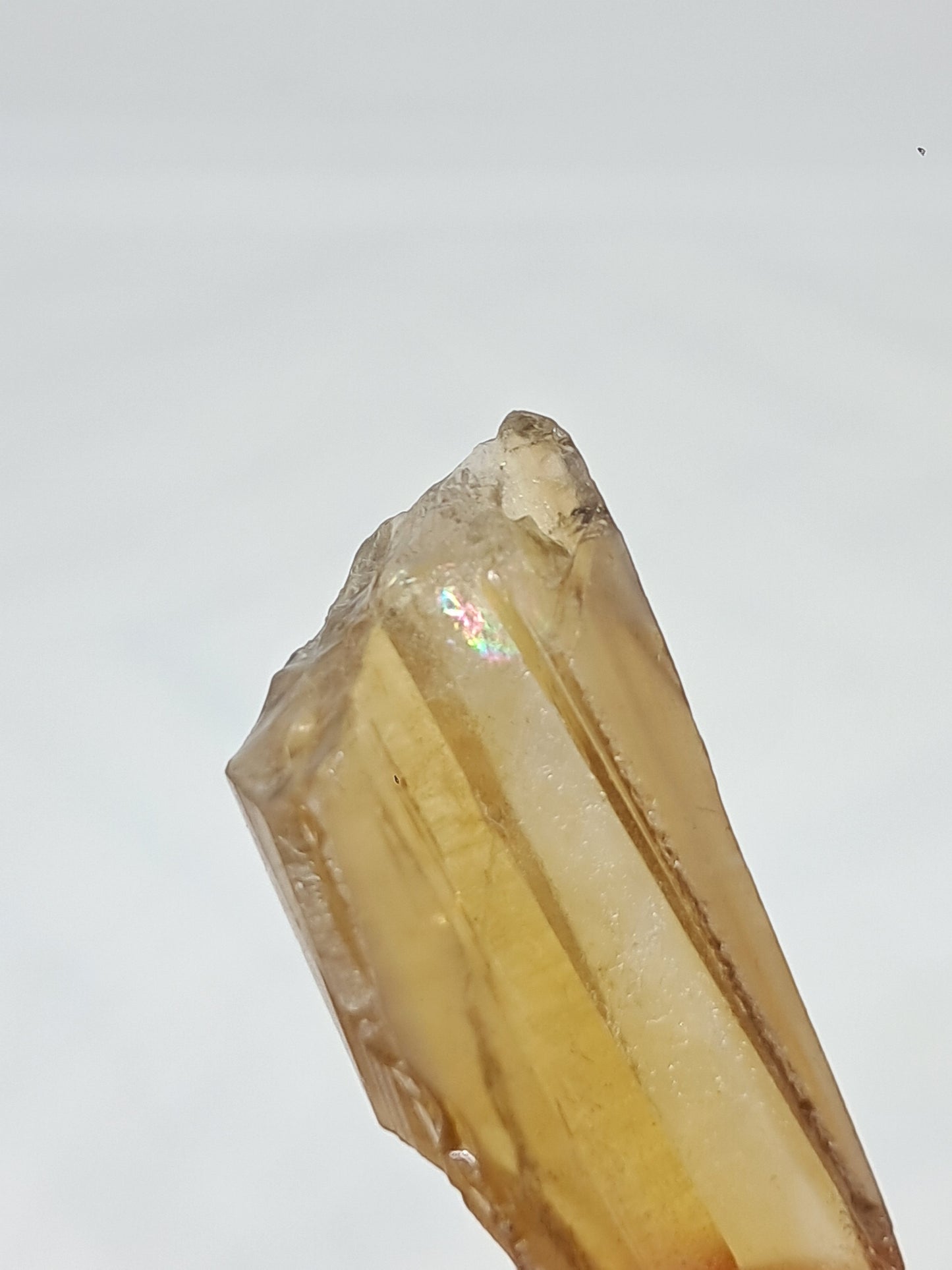 Natural Citrine Crystal (Democratic Republic of Congo) #CTN29