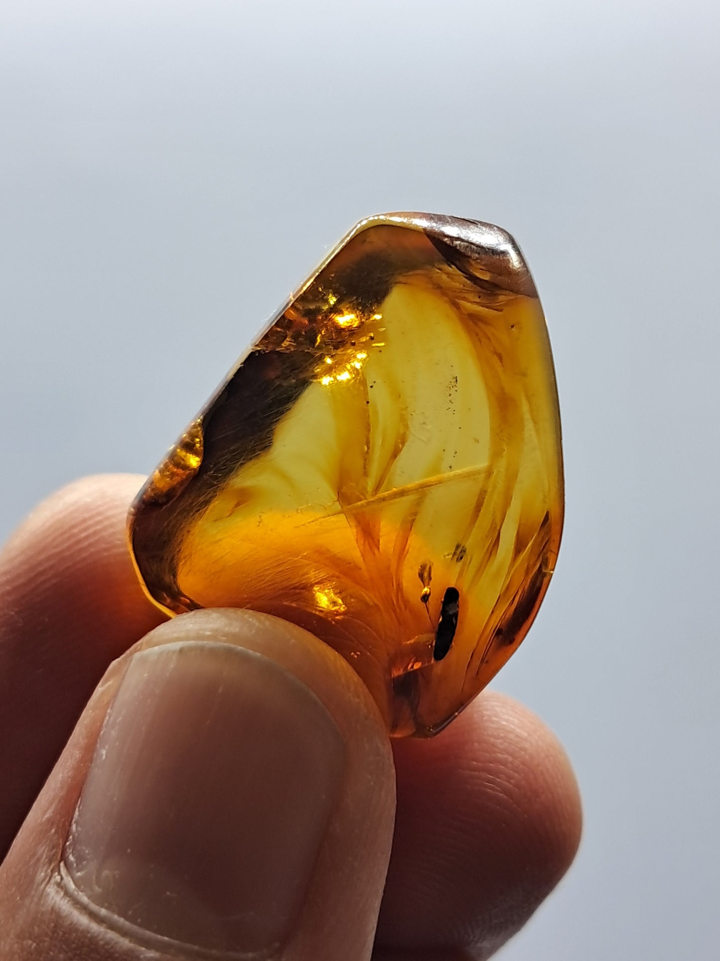 Polished Amber (Mexico) Natural Fossilized Resin | Mineral Specimen #AB3