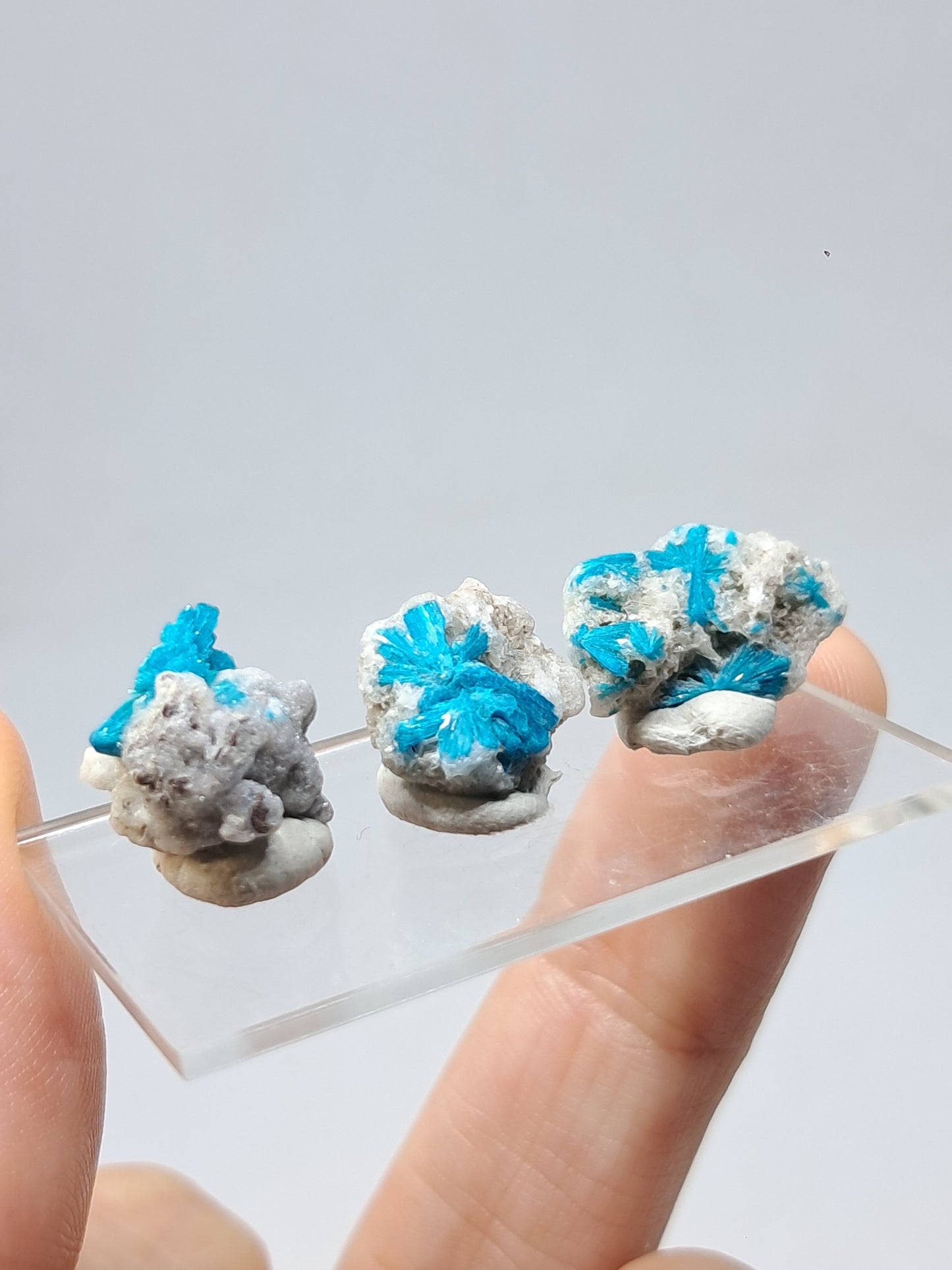 Set of 3 Small Cavansites on Heulandite Matrix (Wagholi) Rough Stone | Natural Crystal | Rare Mineral Specimen #CV44