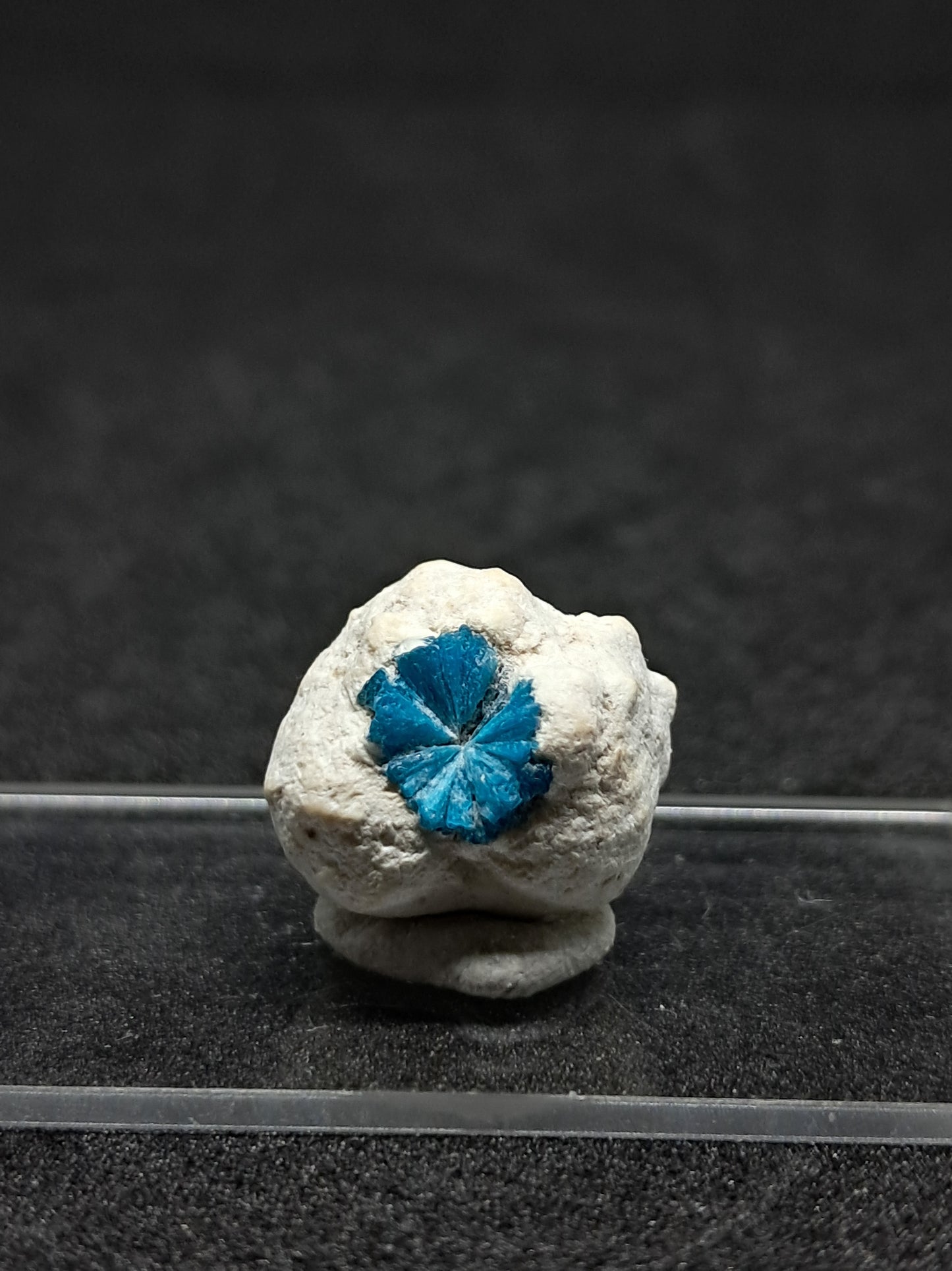 Floater Cavansite in Small Okenite Ball #CV21
