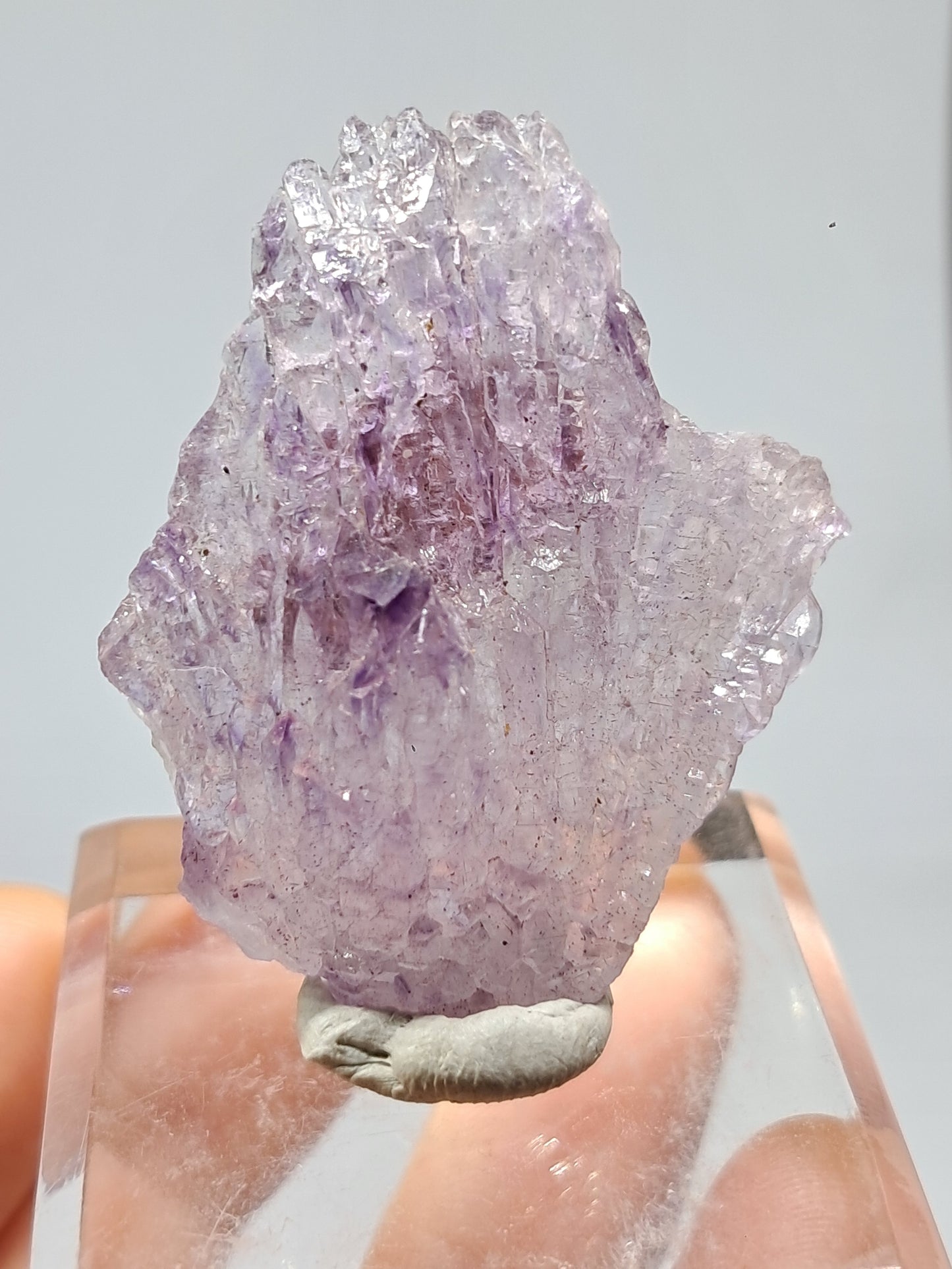 Amethyst Scepter Cluster w/ Goethite (Karur) Crystal Quartz Point | Natural Stone | Mineral Specimen #KA68