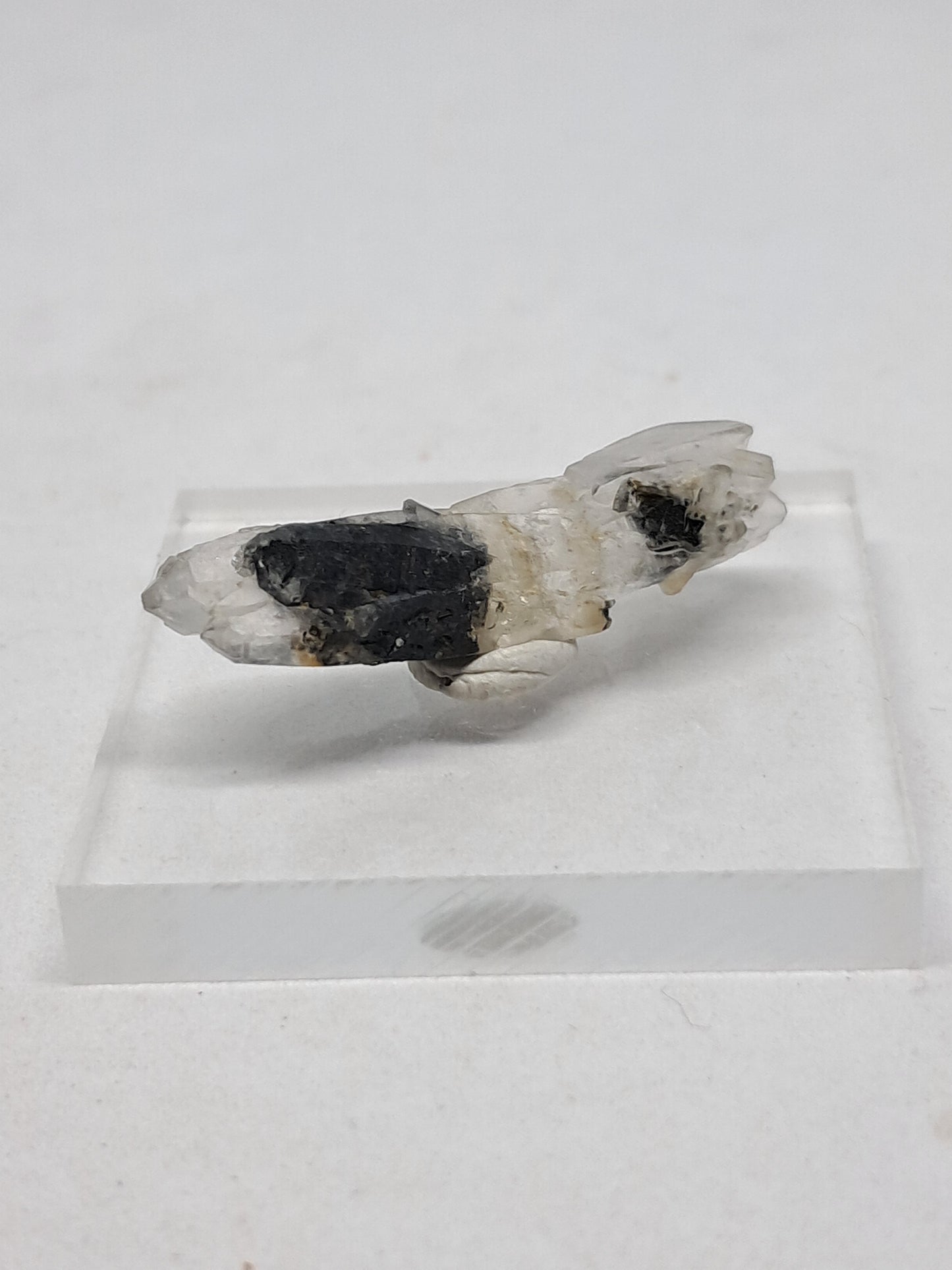 Tourmalinated Quartz Biterminated Crystal (Non-precious stone) #TQ23