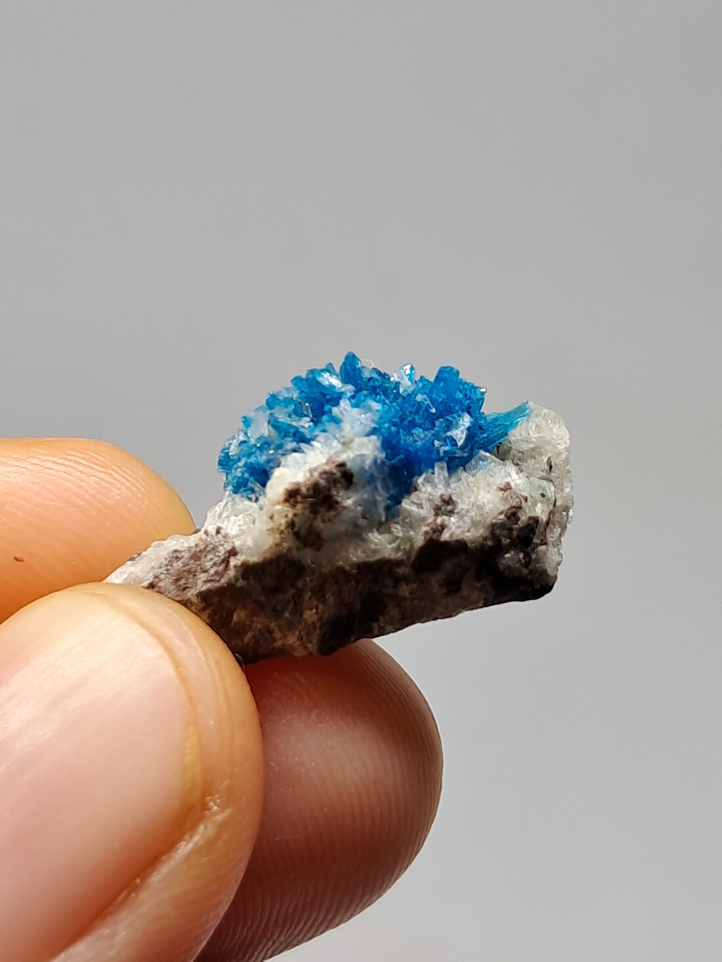 Set of Cavansite & Pentagonite on Matrix (Wagholi) Rough Stone | Natural Crystal | Rare Mineral Specimen #CV40