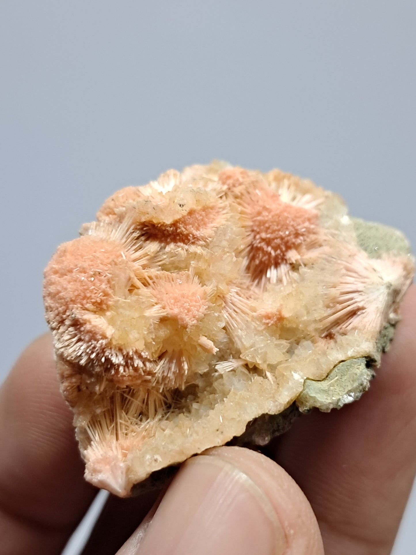 Mesolite w/ Hematite Inclusion (Madhya Pradesh) Natural Crystal| Mineral Specimen #MS21