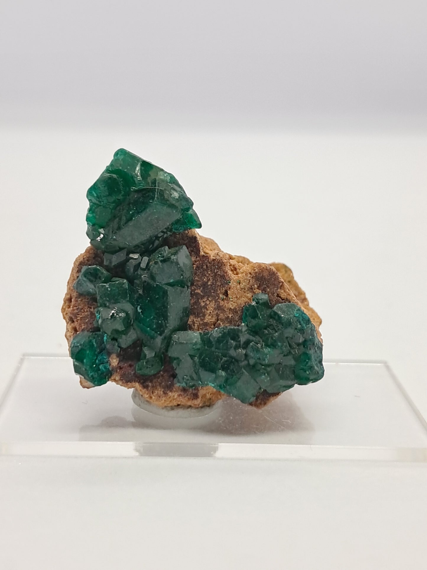 Dioptase on Matrix (Democratic Republic of Congo) Natural Cluster | Rough Crystal | Mineral Specimen) #DPT8