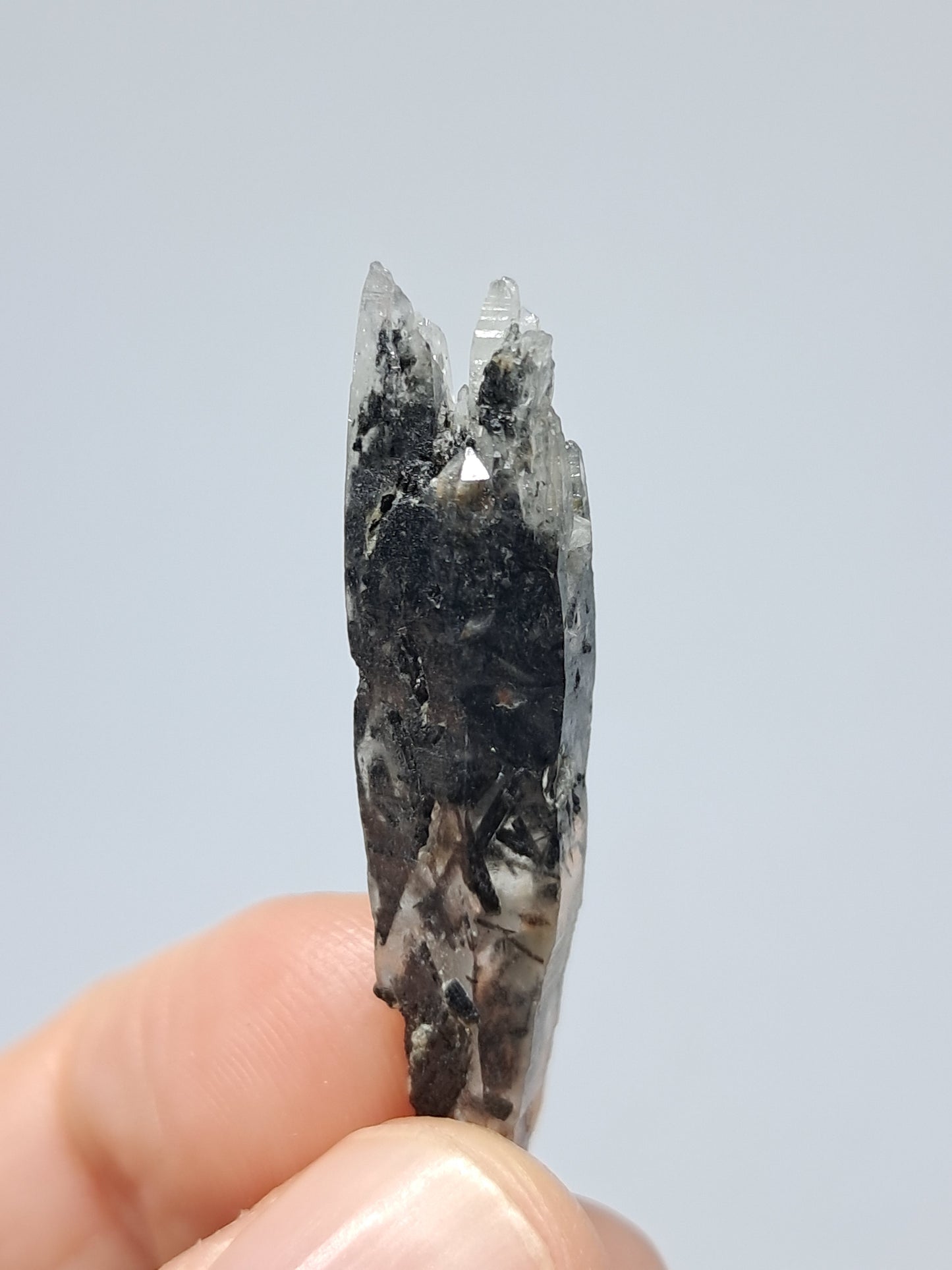 Tourmalinated Quartz Biterminated Crystal (Non-precious stone) #TQ24