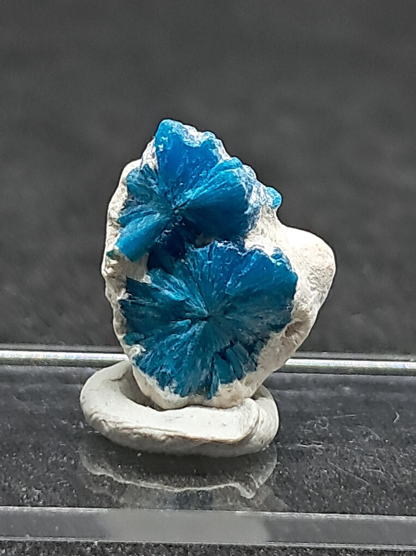 Floater Cavansites in Okenite Matrix (Pune) Rough Stone | Natural Crystal | Rare Mineral Specimen #CV25