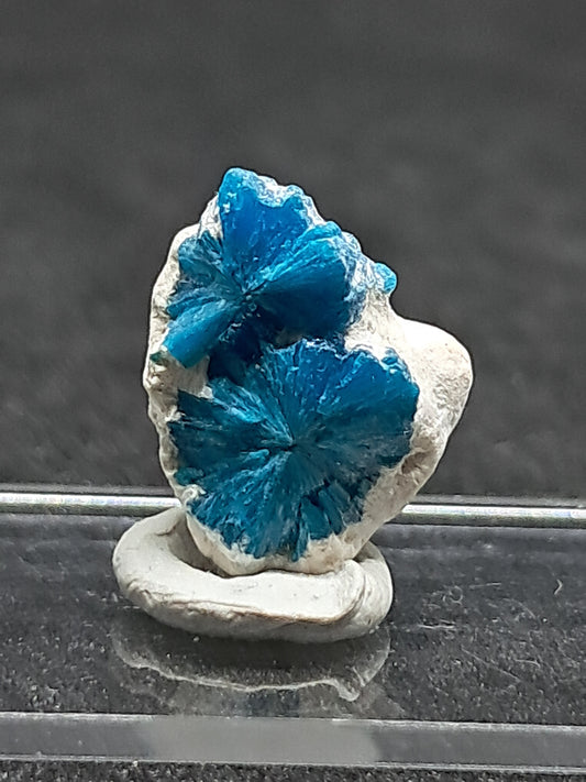 Floater Cavansites in Okenite Matrix (Pune) Rough Stone | Natural Crystal | Rare Mineral Specimen #CV25