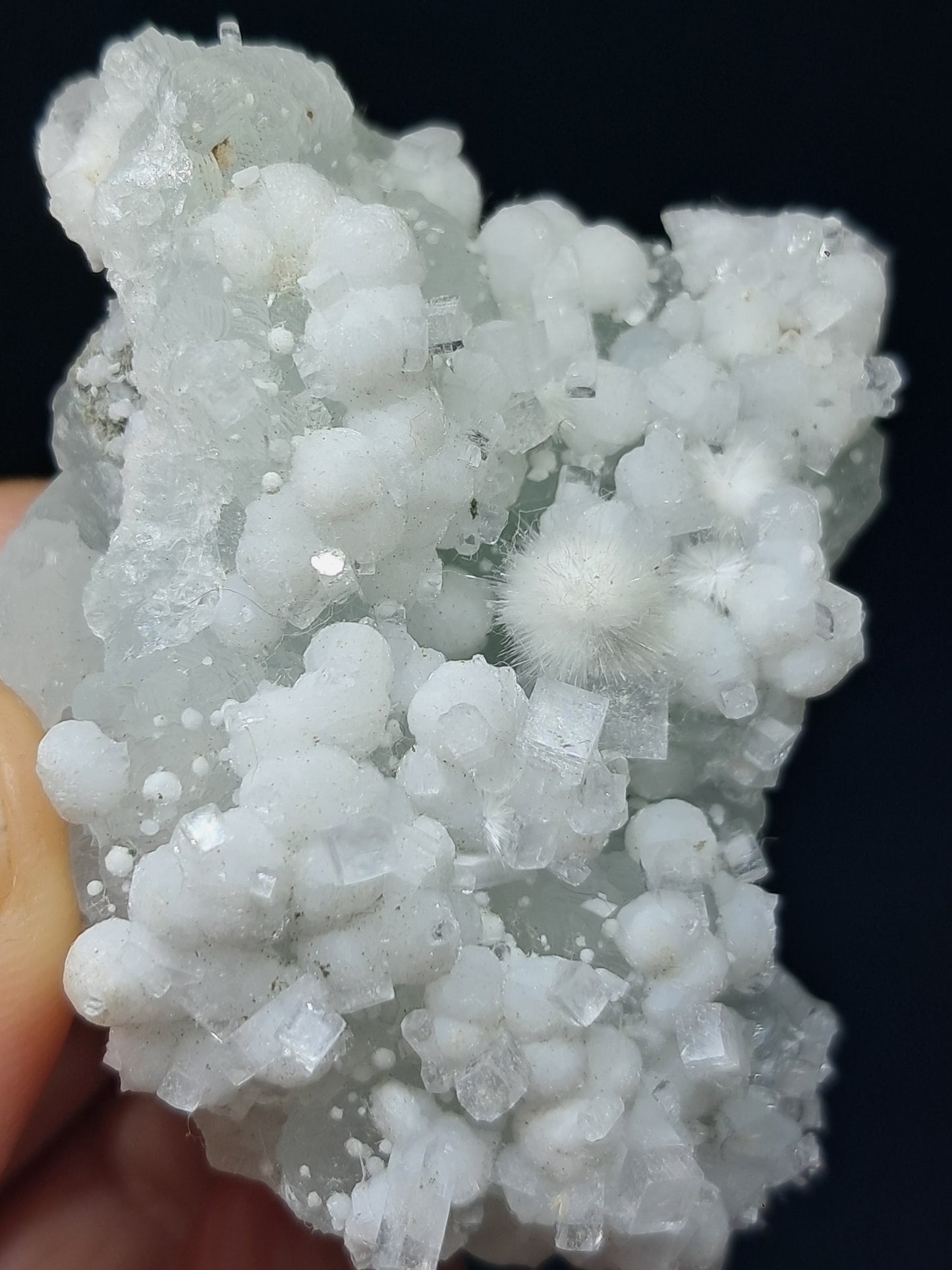 Okenite w/ Gyrolite and Apophyllite Cluster on Prehenite Matrix (Mumbai) Mineral Specimen | Collector Grade | Natural Crystal #OK46