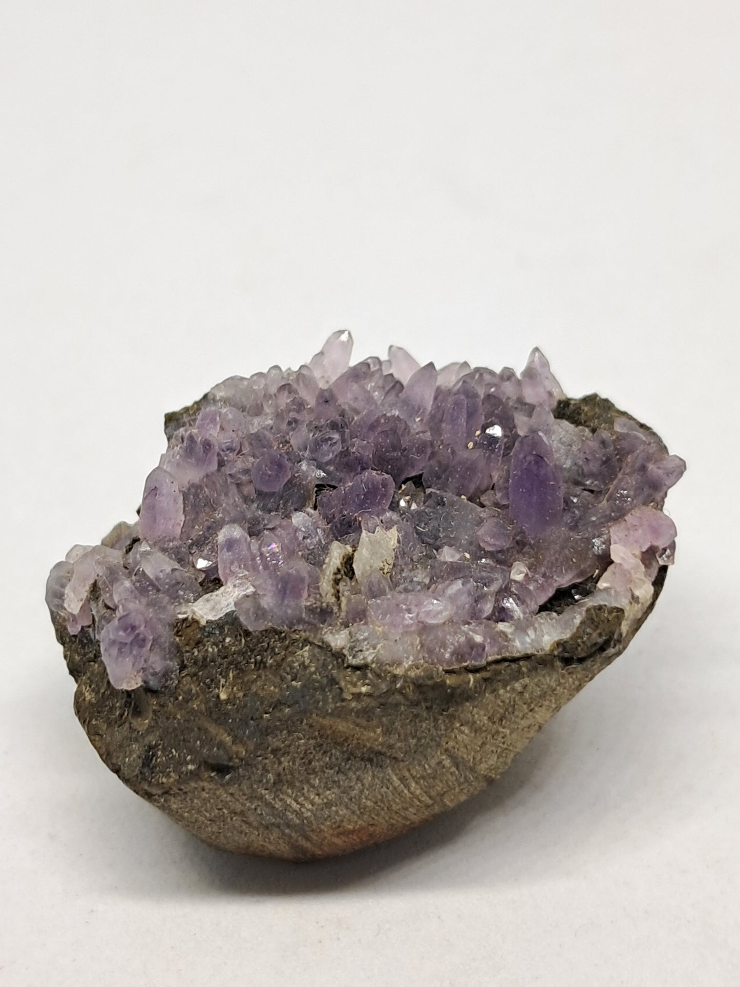 "Dog tooth" Amethyst on Basalt (Non-precious mineral) #DTA5
