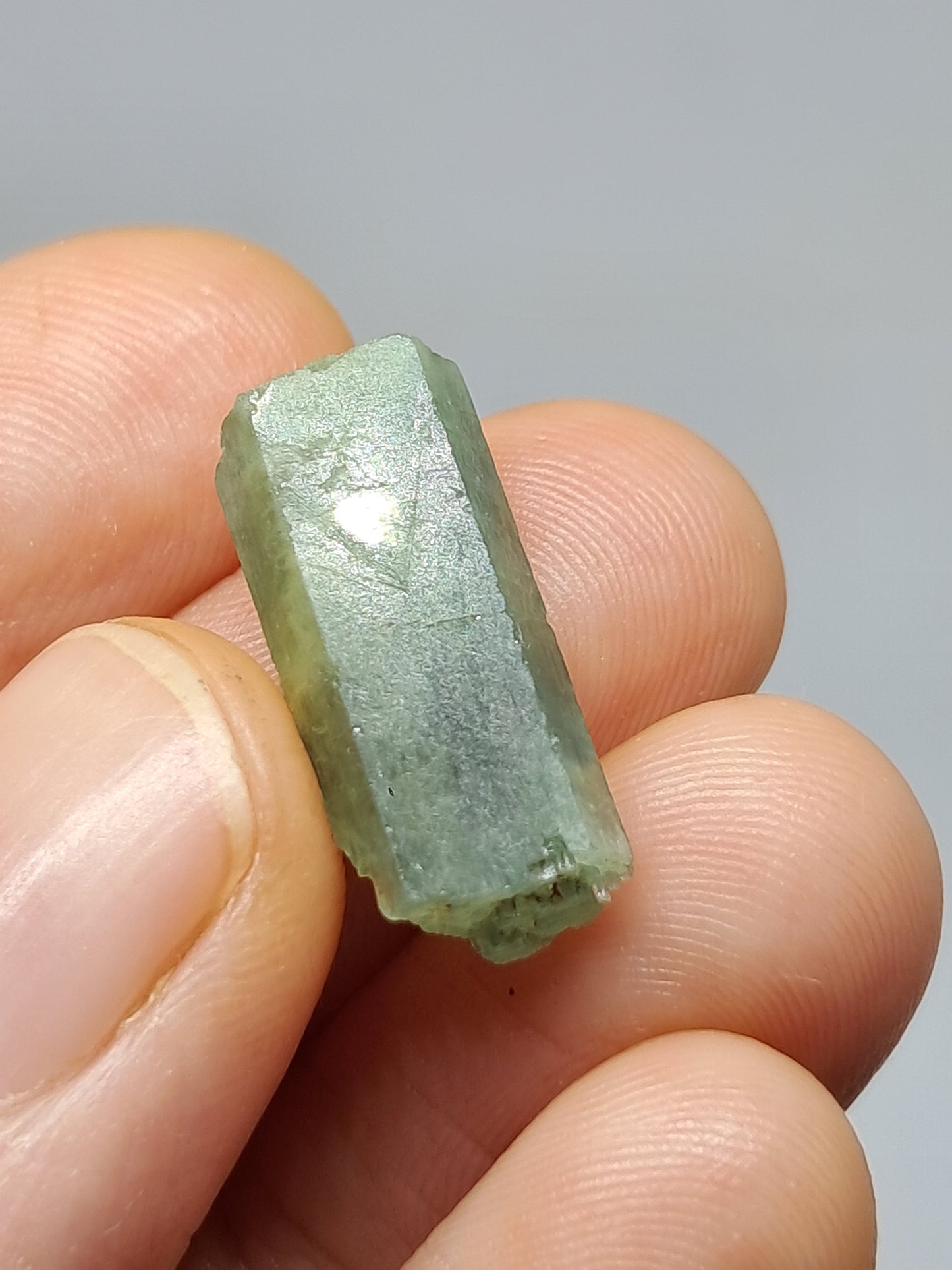 Aguamarina (Karur) Cristal hexagonal en bruto | Ejemplar mineral n.° AQM23