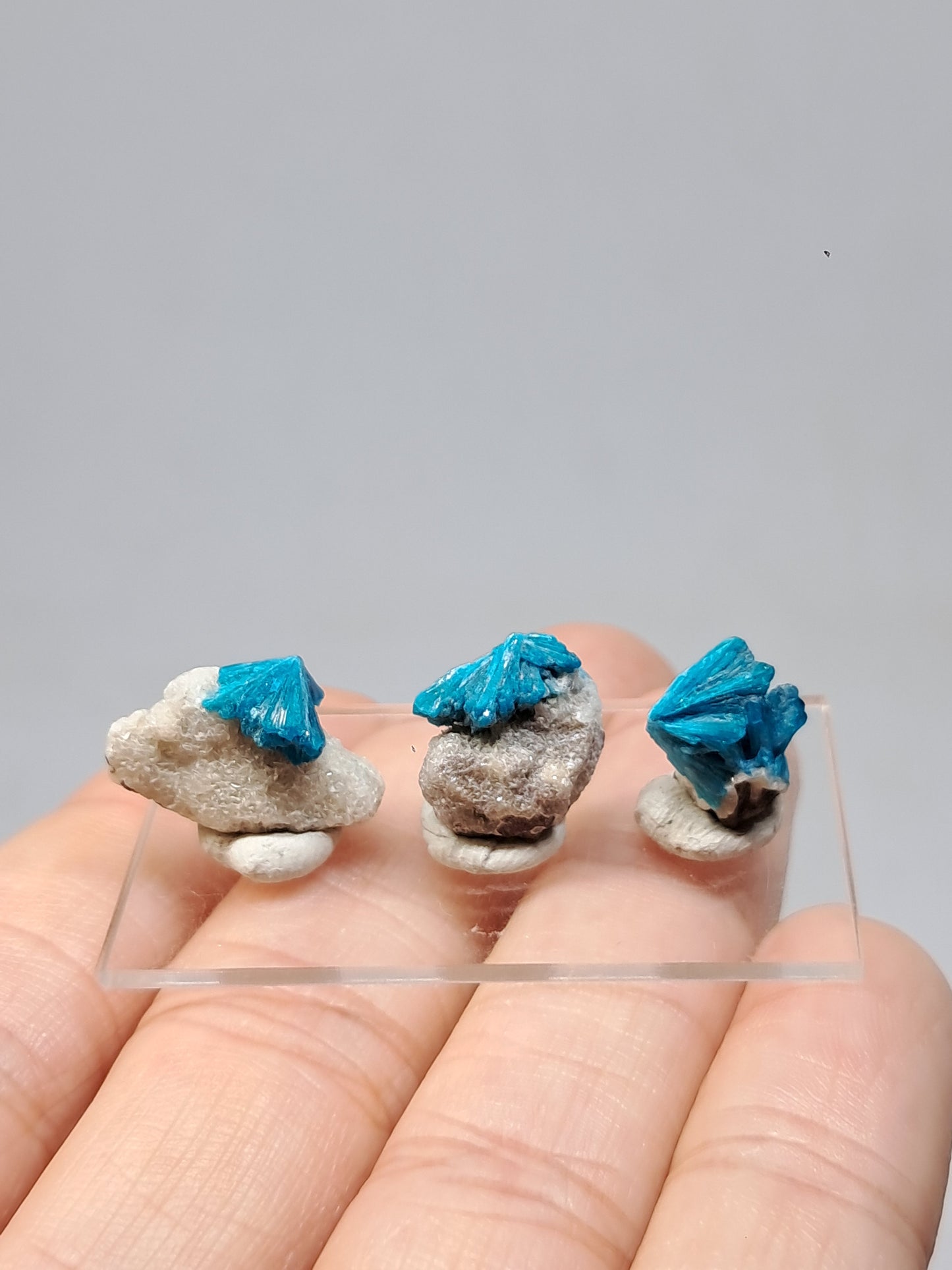 Set of 3 Small Cavansites on Heulandite Matrix (Wagholi) Rough Stone | Natural Crystal | Rare Mineral Specimen #CV37