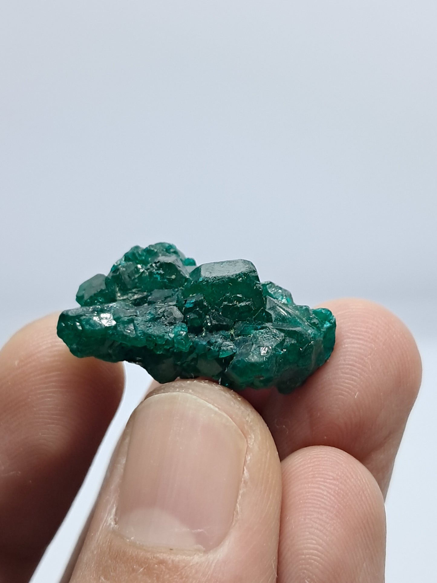 Dioptase (DRC) Natural Cluster | Rough Crystal | Mineral Specimen #DPT6