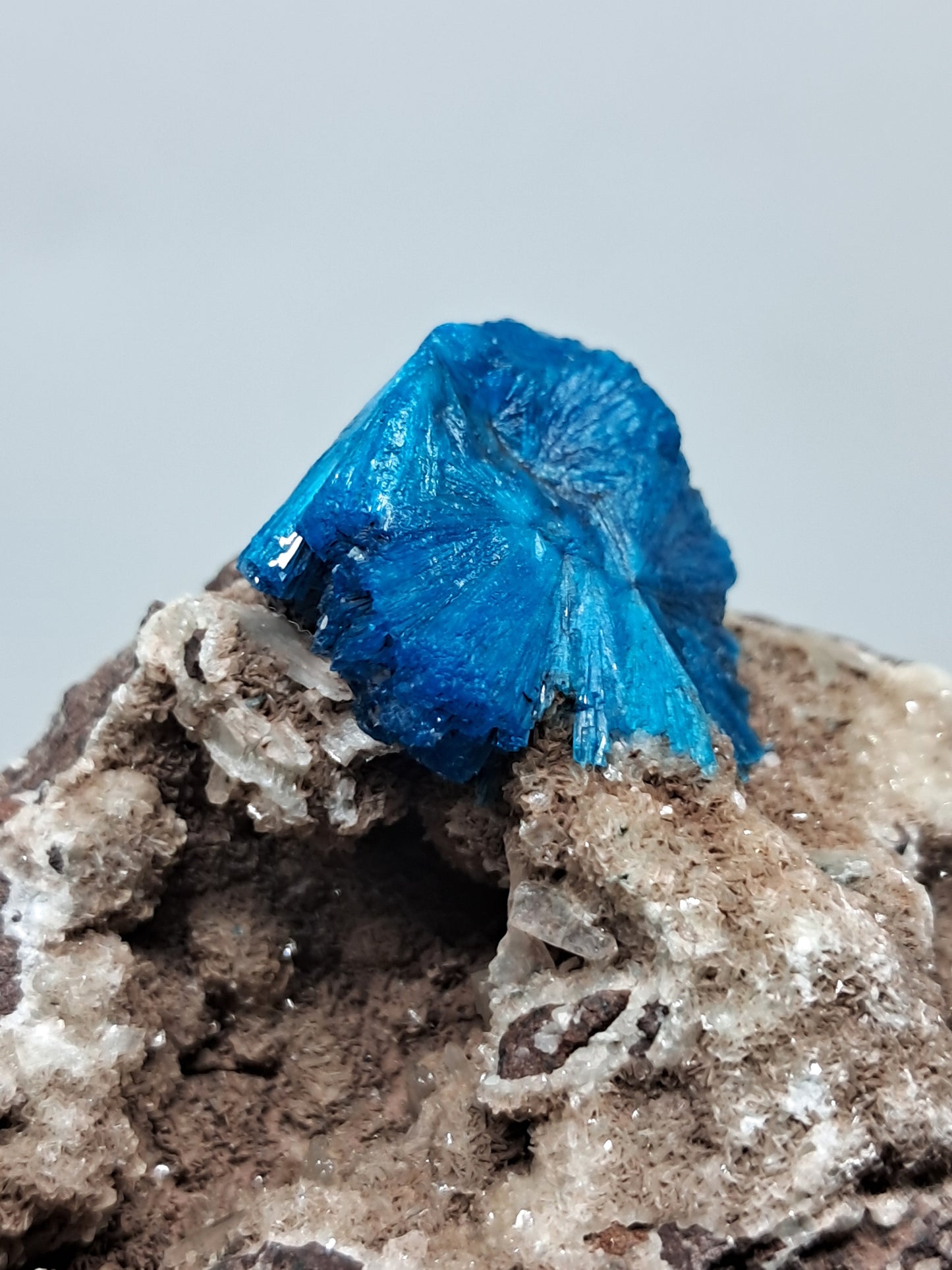 Cavansite on Heulandite Matrix (Wagholi) Rough Stone | Natural Crystal | Rare Mineral Specimen #CV32