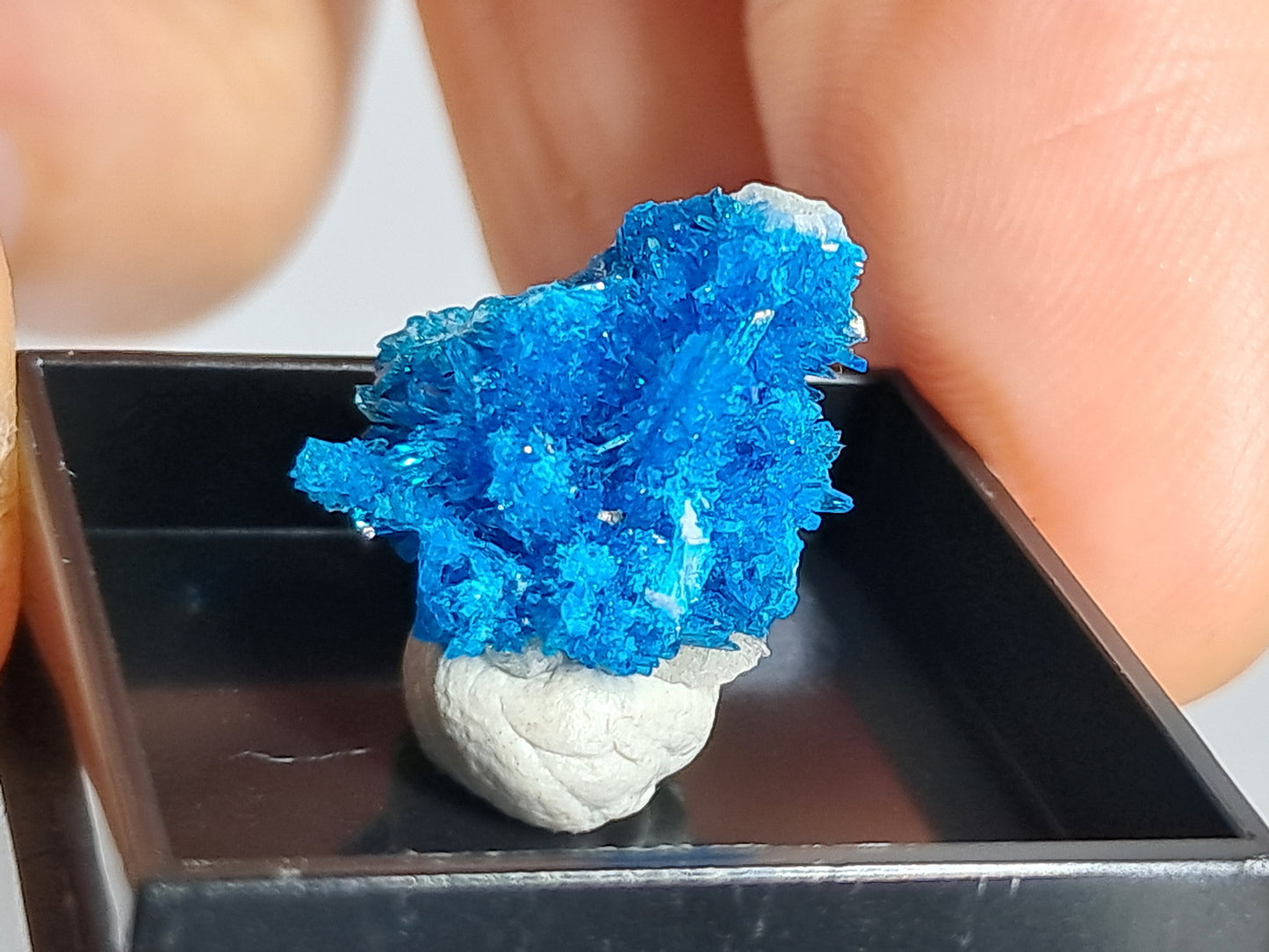 Pentagonite (Wagholi) Rough Stone | Natural Crystal | Rare Mineral Specimen #CV48