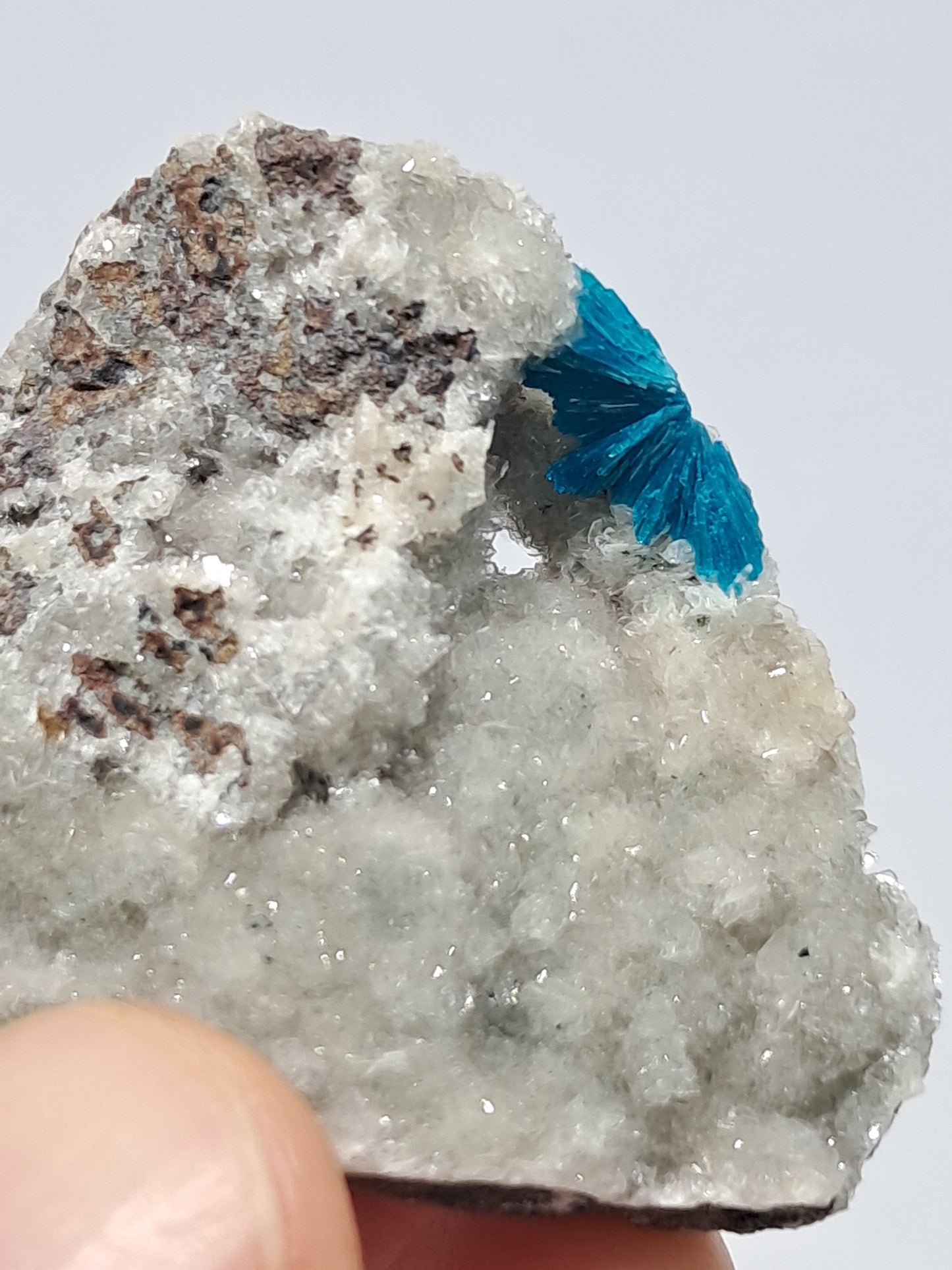 Cavansite on Heulandite Matrix (Wagholi) Rough Stone | Natural Crystal | Rare Mineral Specimen #CV12