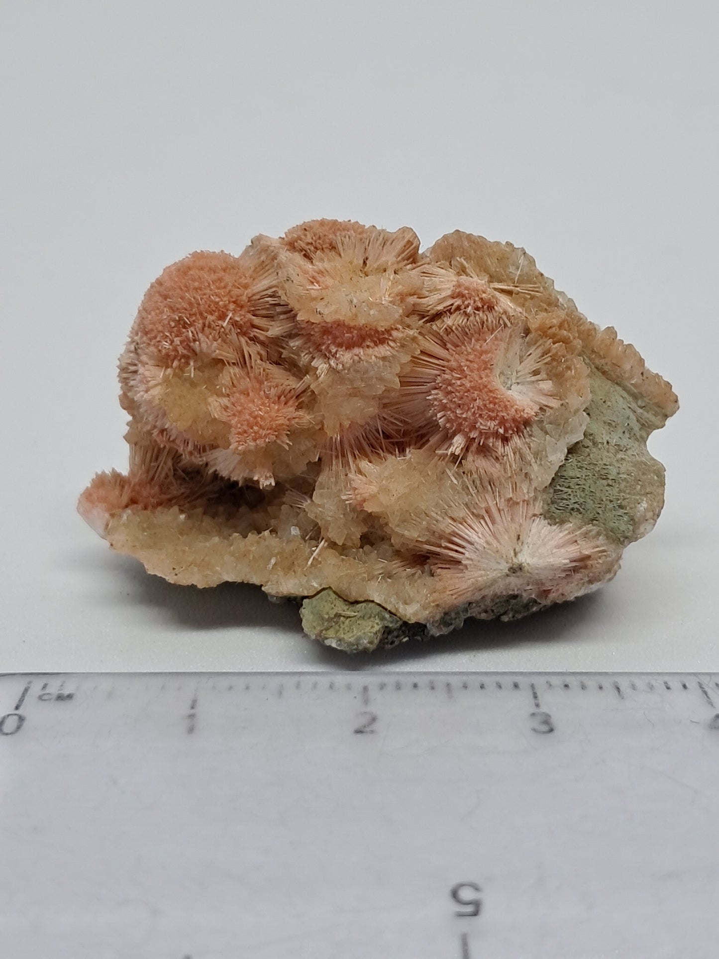 Mesolite w/ Hematite Inclusion (Madhya Pradesh) Natural Crystal| Mineral Specimen #MS21