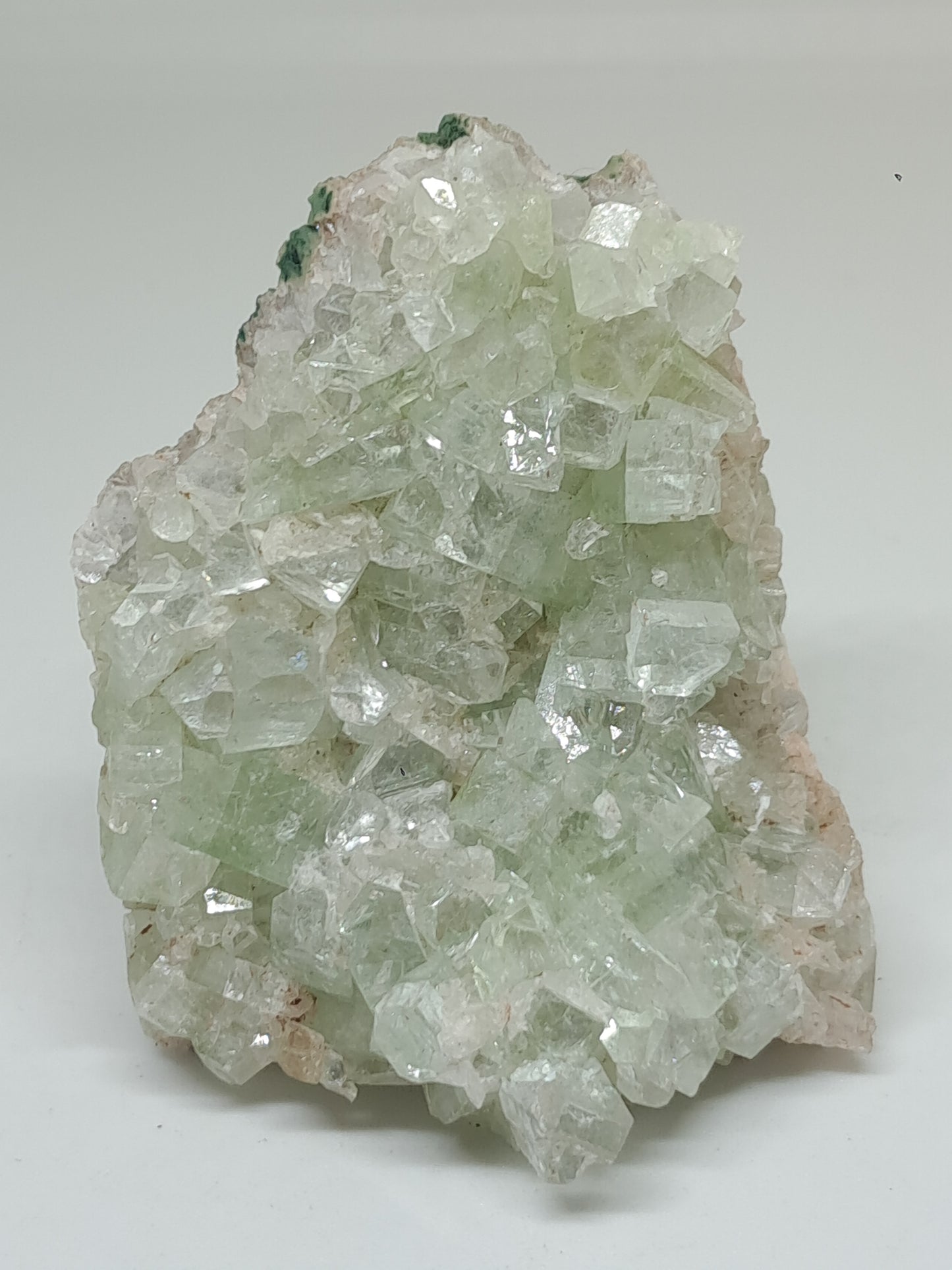 Green Apophyllite Cluster (Fluorapophyllite) (Ajanta) Rough Natural Crystal | Mineral Specimens #GA56