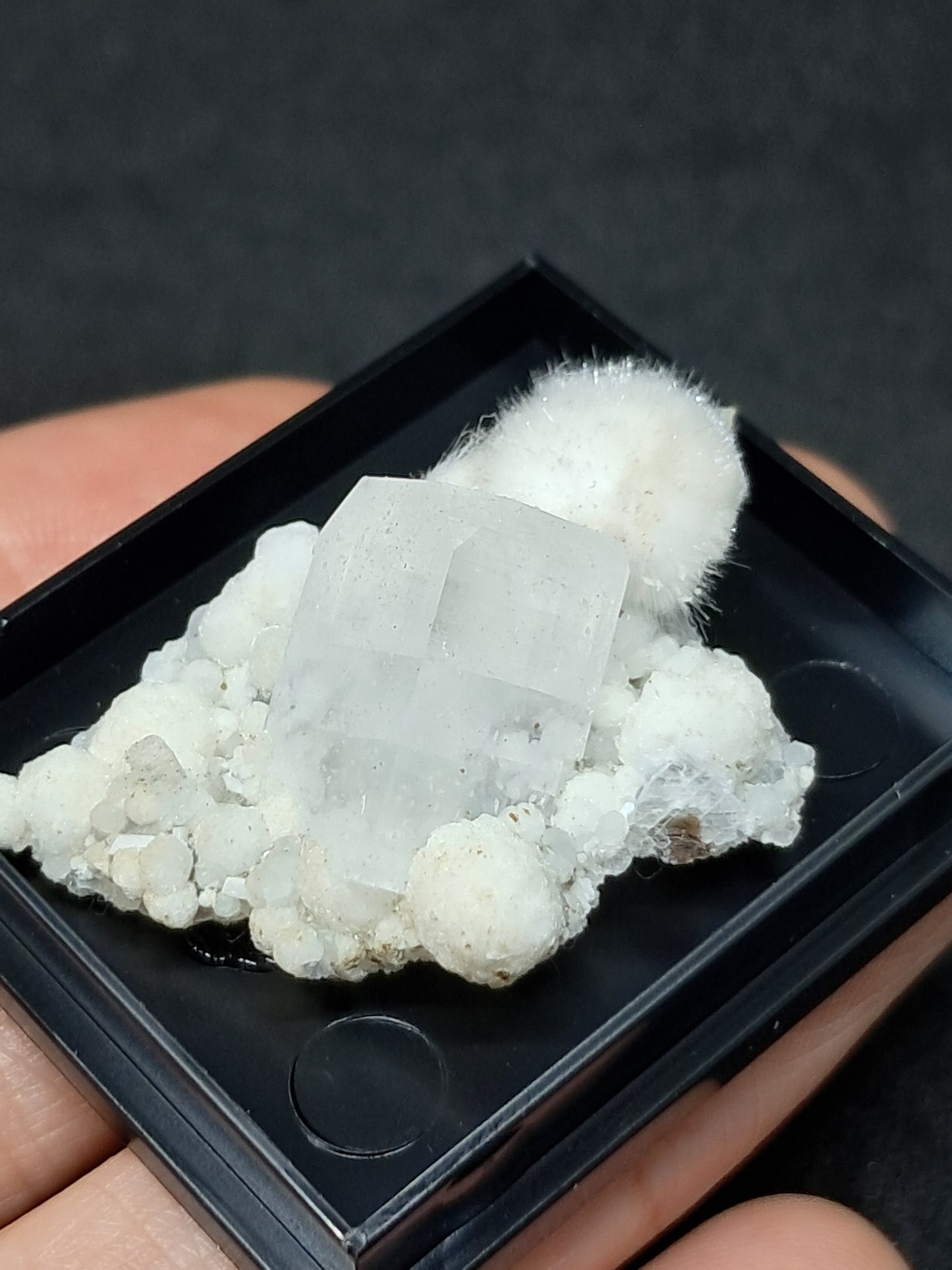 Okenite and Apophyllite on Gyrolite Matrix (Mumbai) Mineral Specimen | Collector Grade | Natural Crystal #OK6