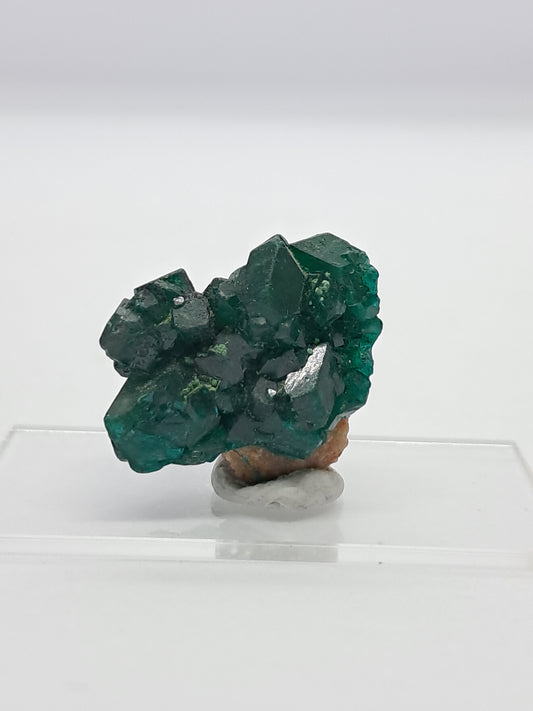 Dioptase (Democratic Republic of Congo) Natural Cluster | Rough Crystal | Mineral Specimen #DPT4