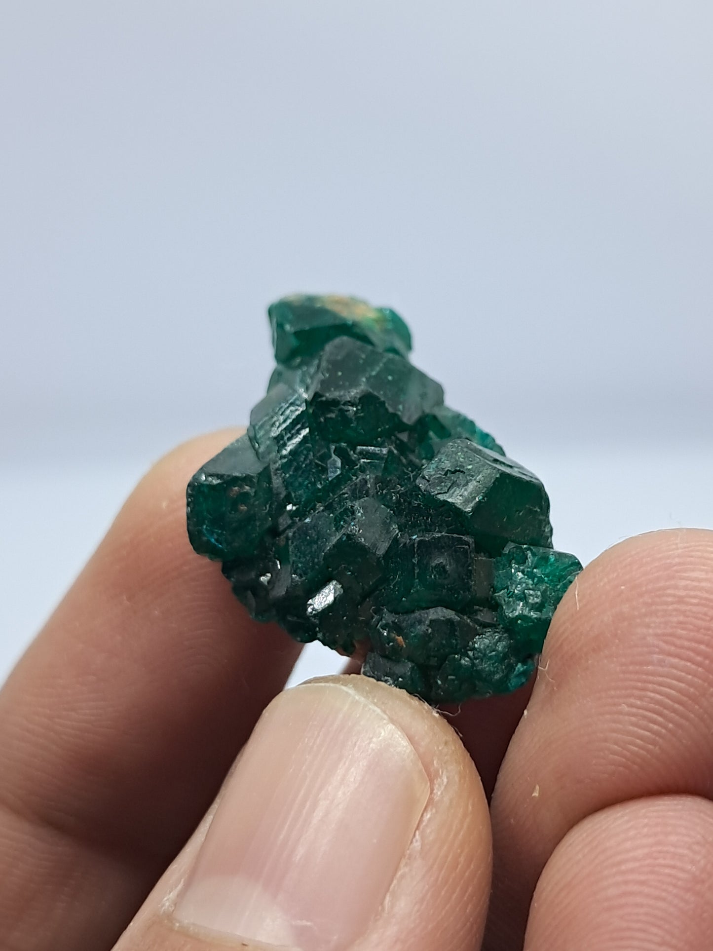 Dioptase (Non-precious Natural Stone) #DPT5