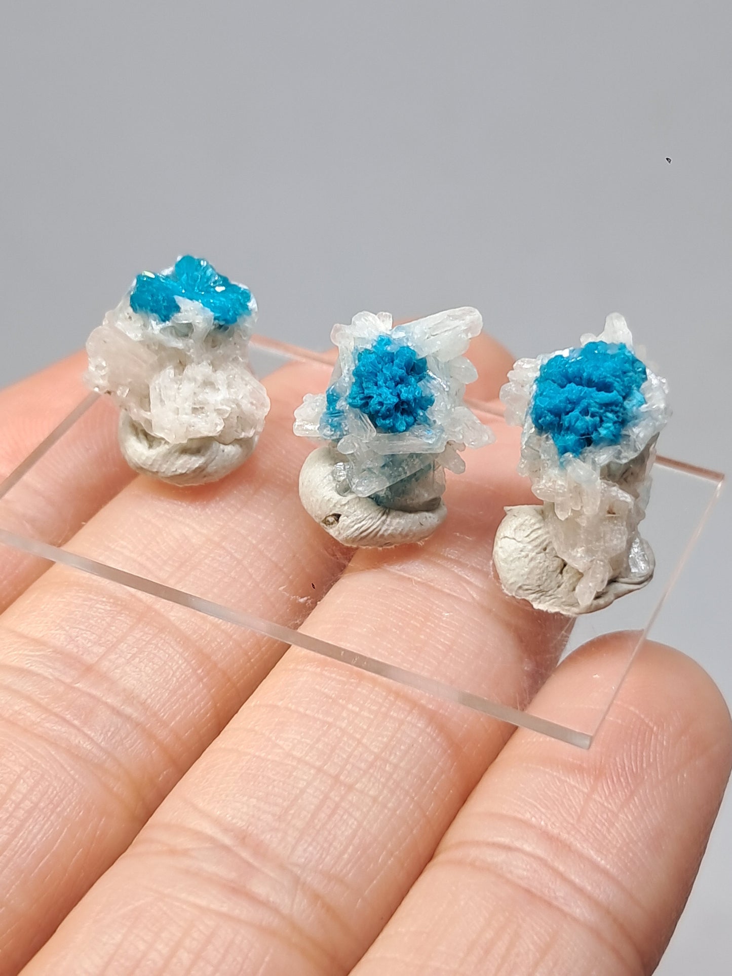 Set of 3 Small Cavansites on Stilbite Matrix (Wagholi) Rough Stone | Natural Crystal | Rare Mineral Specimen #CV39
