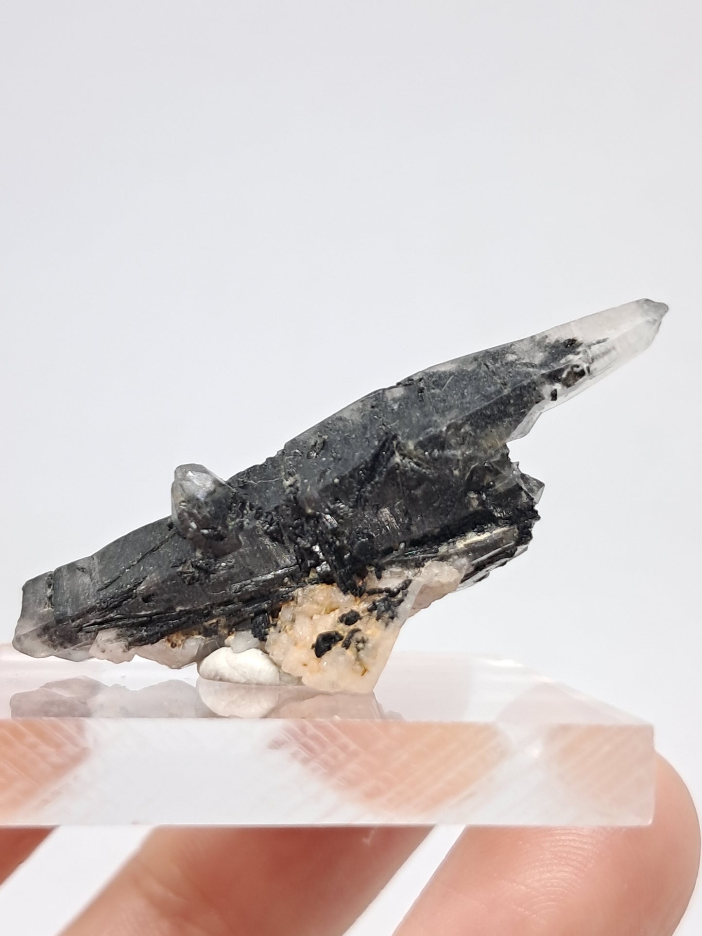 Tourmalinated Quartz Natural Crystal Point (Non-precious stone) #TQ22