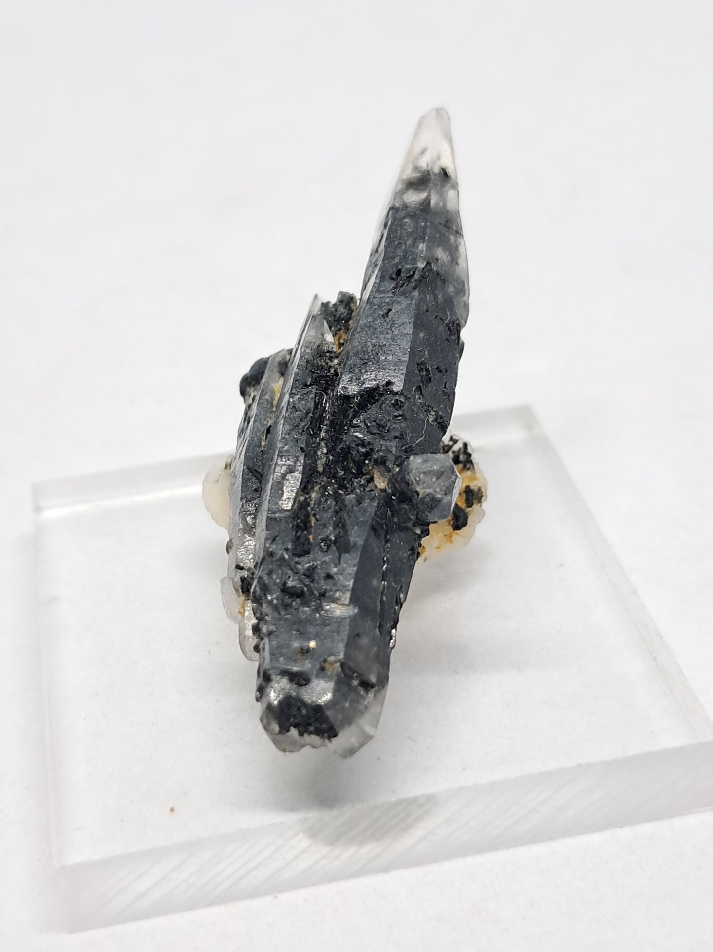 Tourmalinated Quartz Natural Crystal Point (Non-precious stone) #TQ22