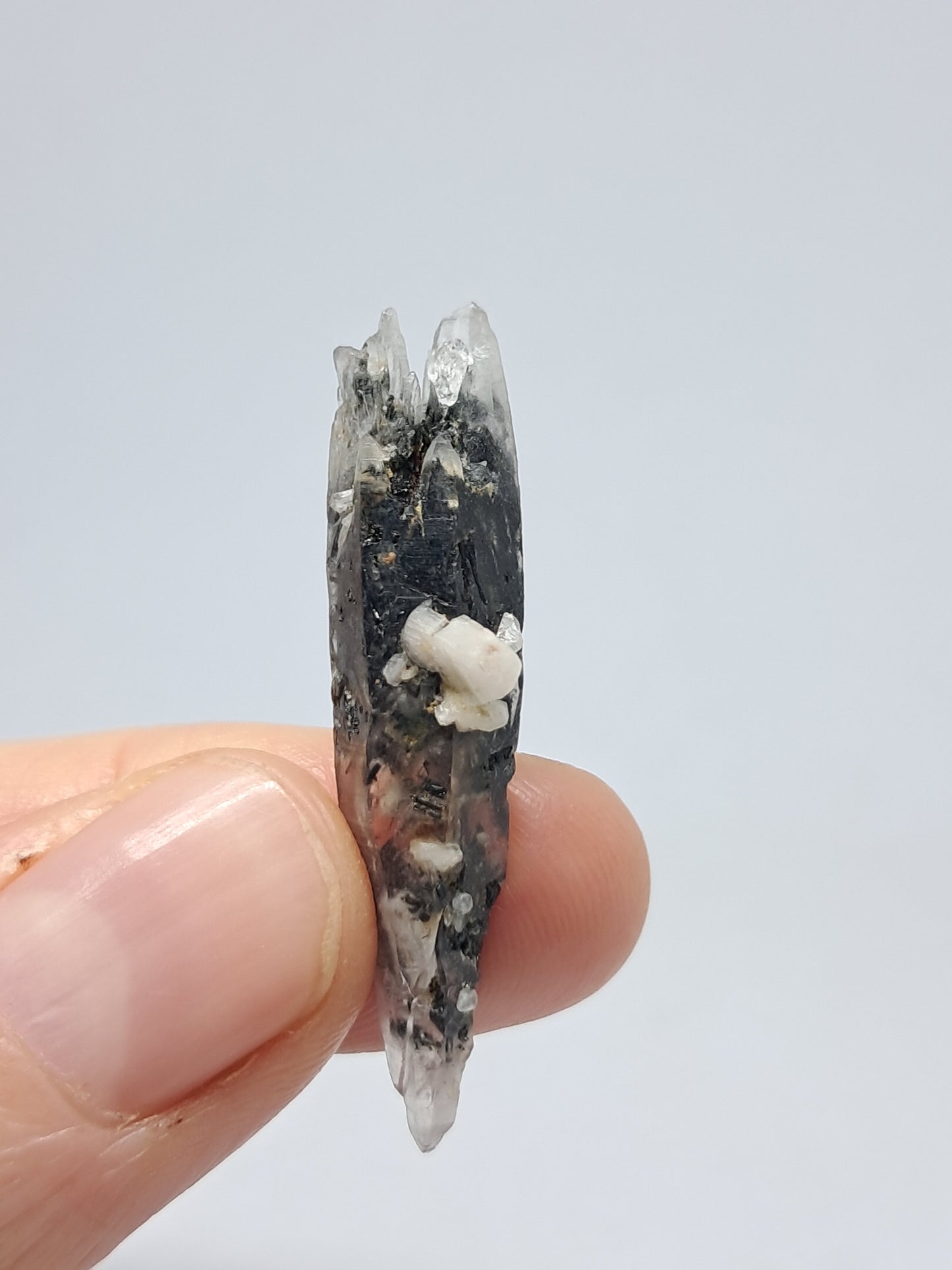 Tourmalinated Quartz Biterminated Crystal (Non-precious stone) #TQ24