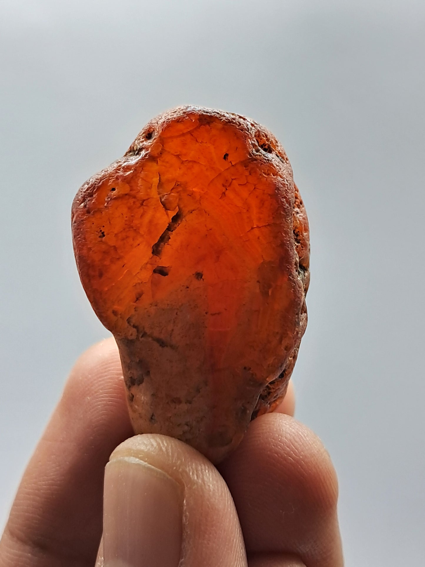 Rough Carnelian (India) Raw Stone | Natural Crystal | Mineral Specimen #CRN7