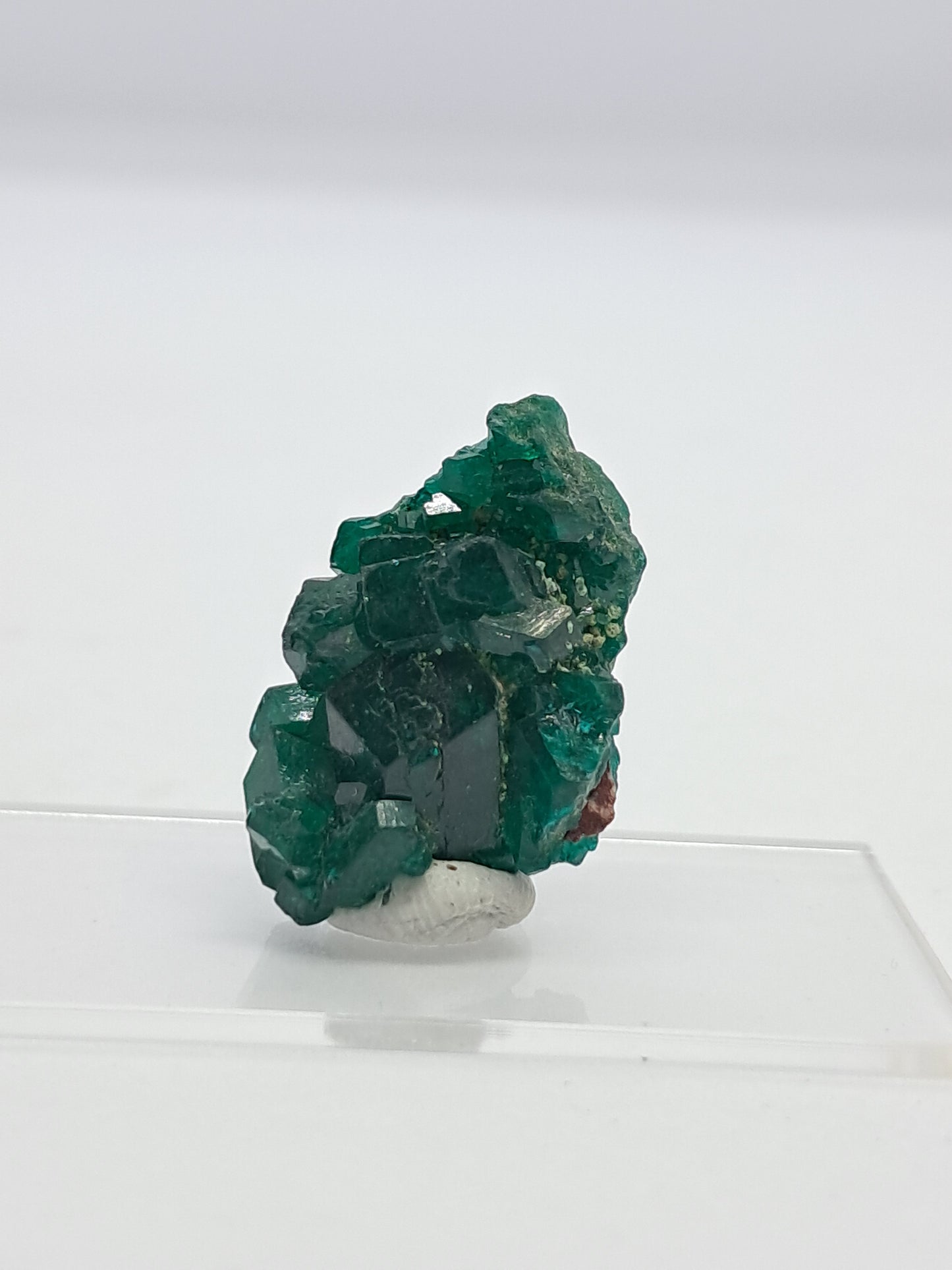 Dioptase (Democratic Republic of Congo) Natural Cluster | Rough Crystal | Mineral Specimen #DPT3
